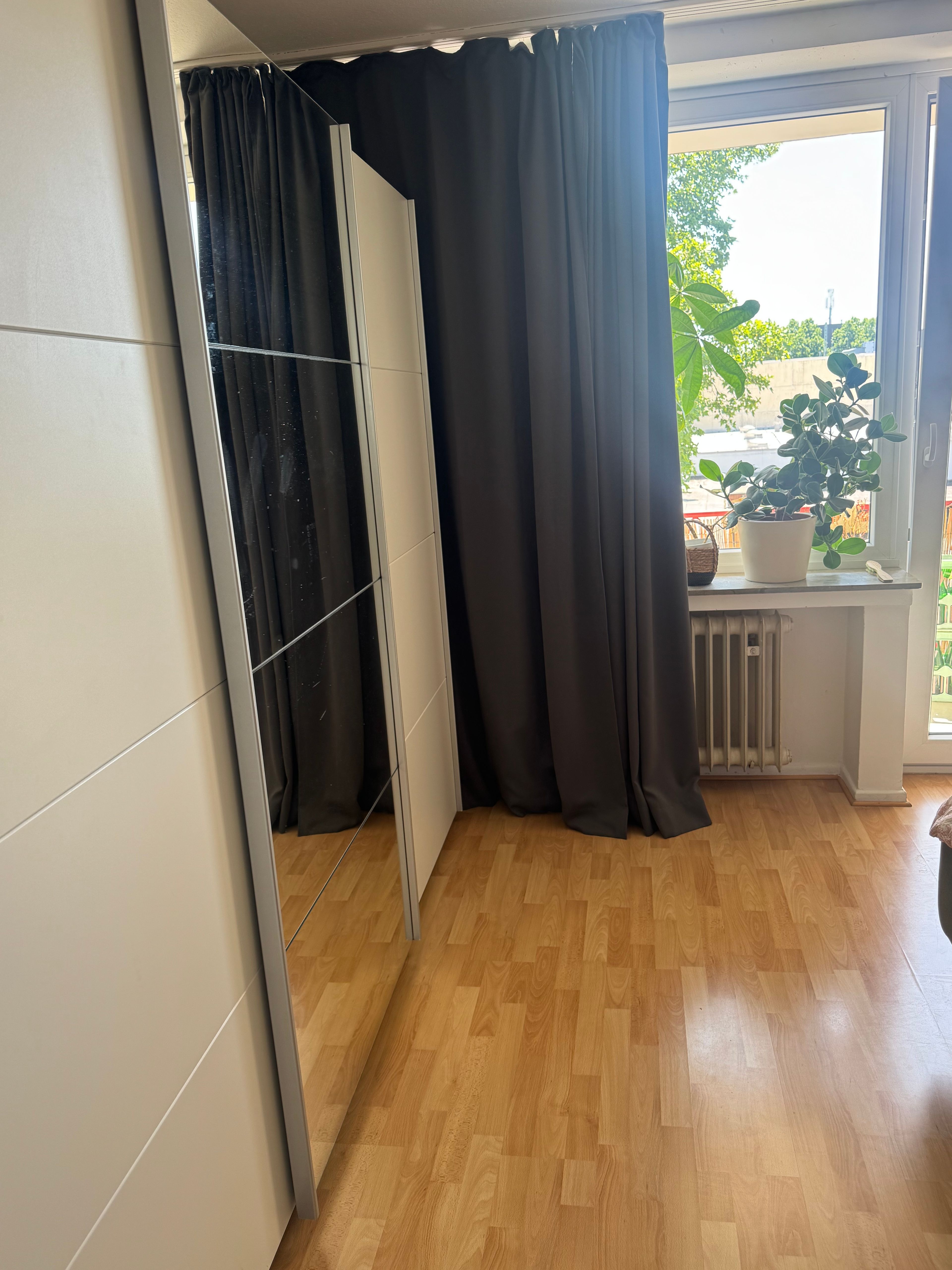 image-19