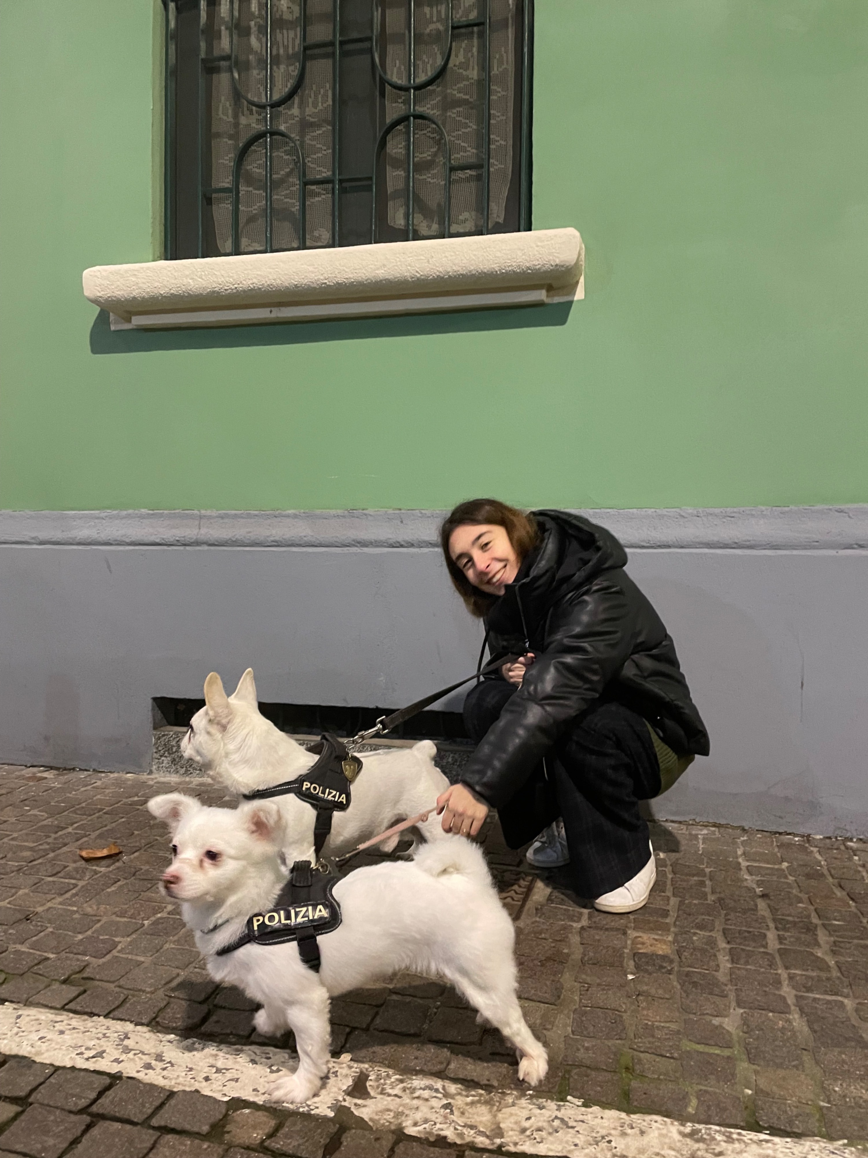 image-10