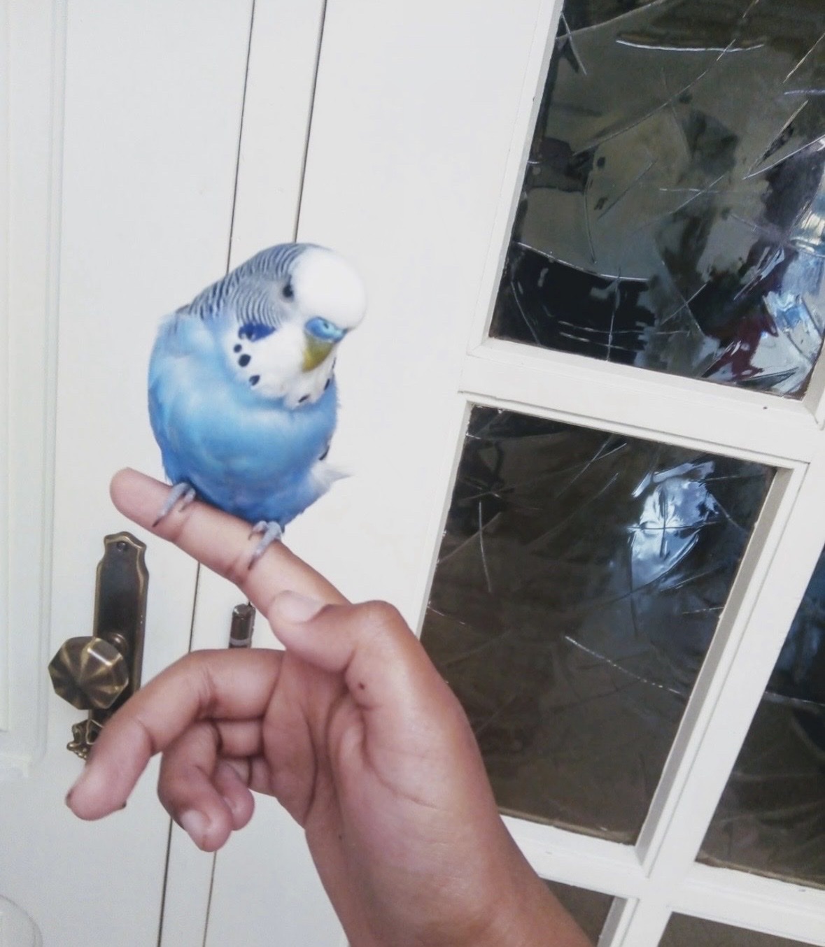 image-5