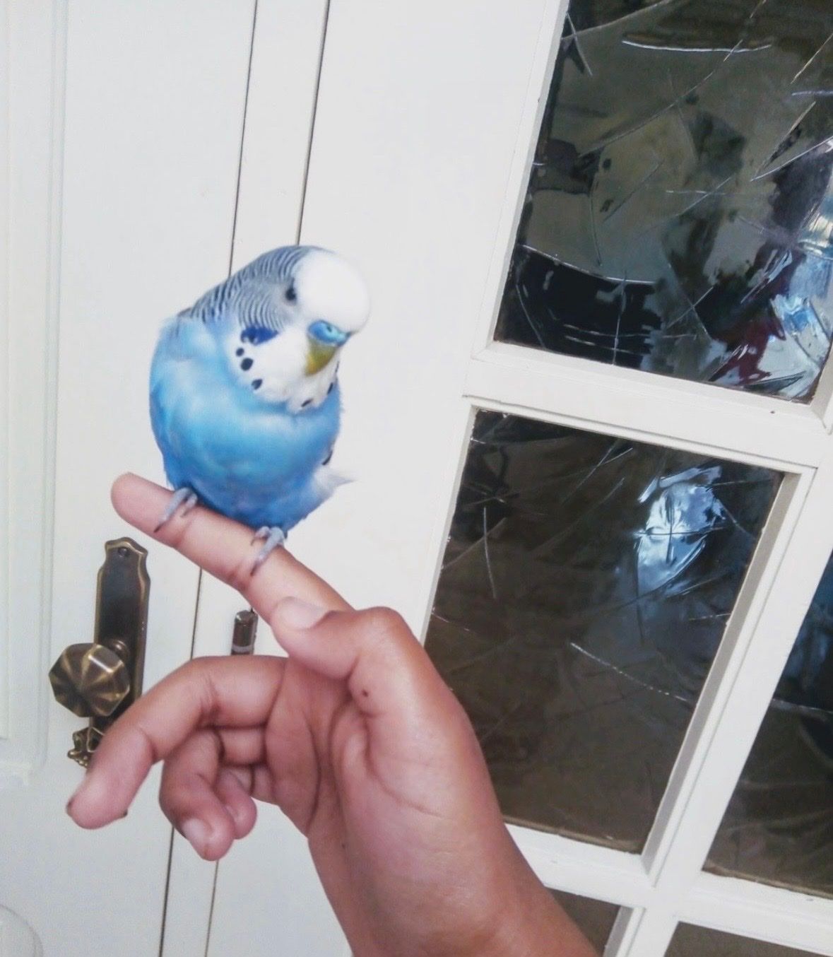 image-5
