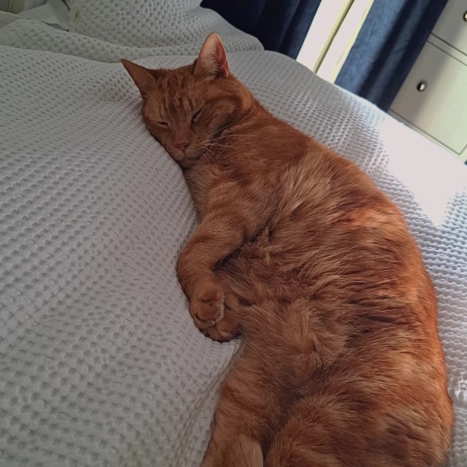 Simba