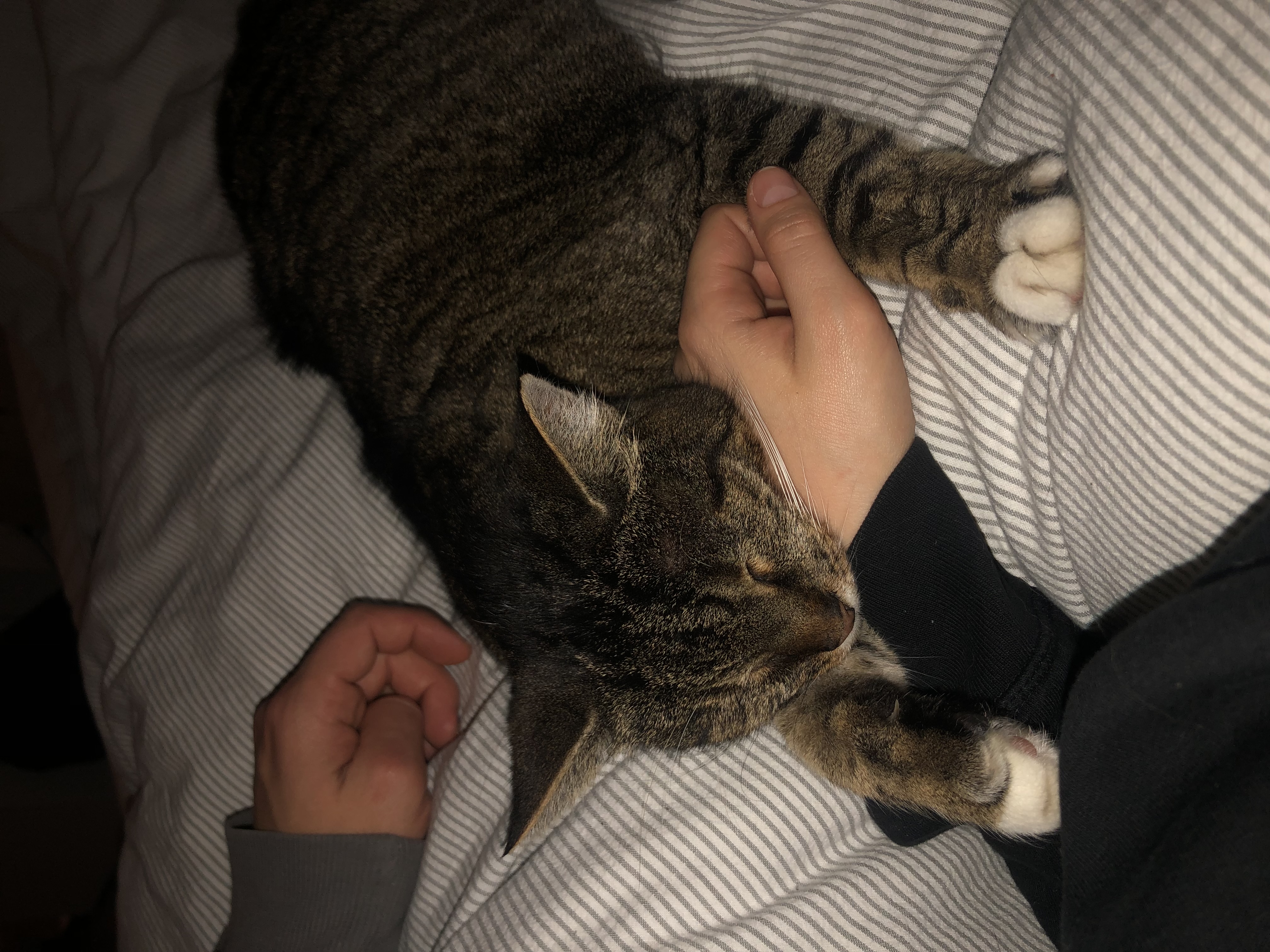 image-6