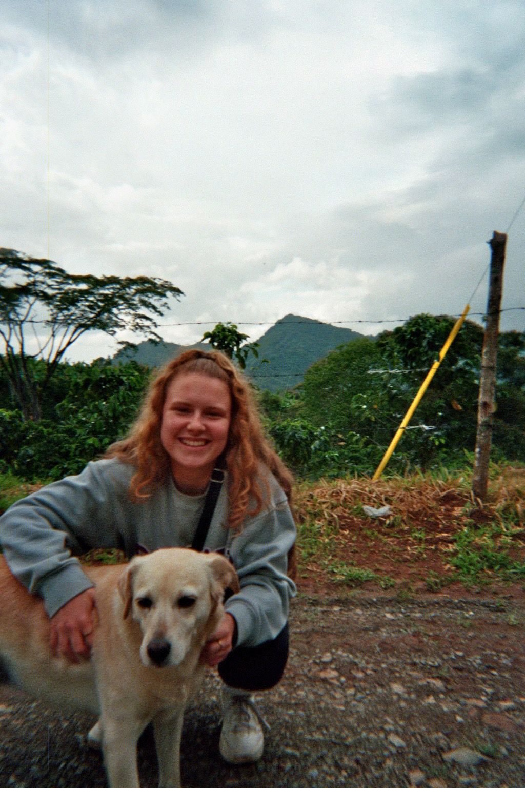 image-5