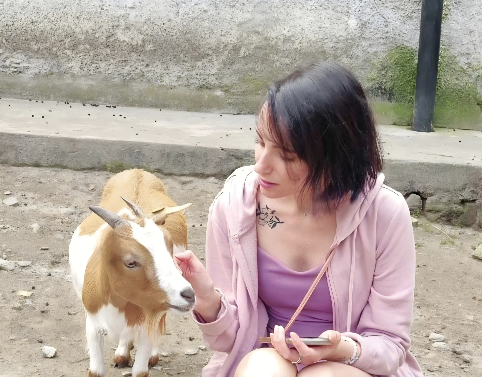 image-7