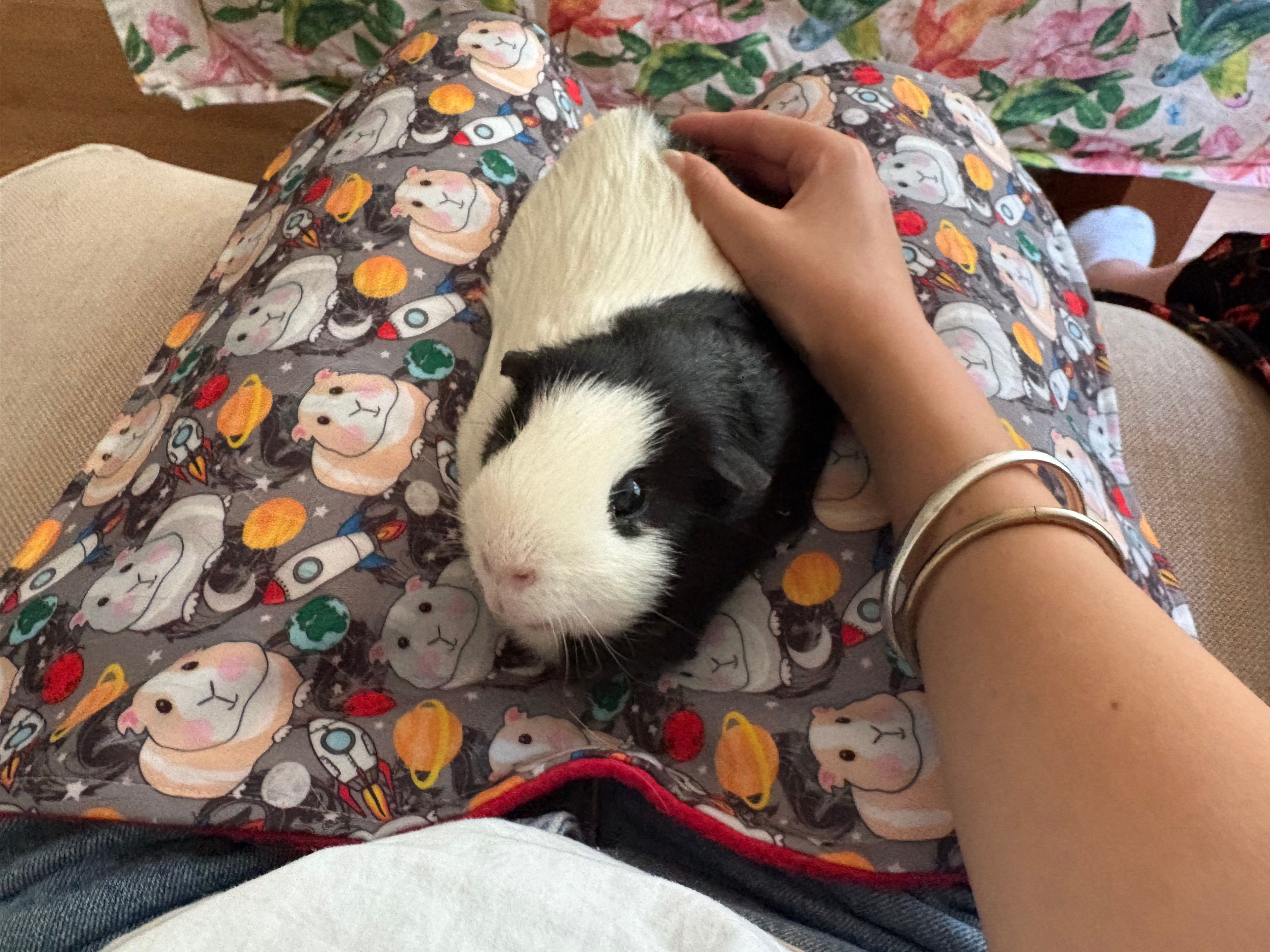 image-8