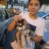 image-7