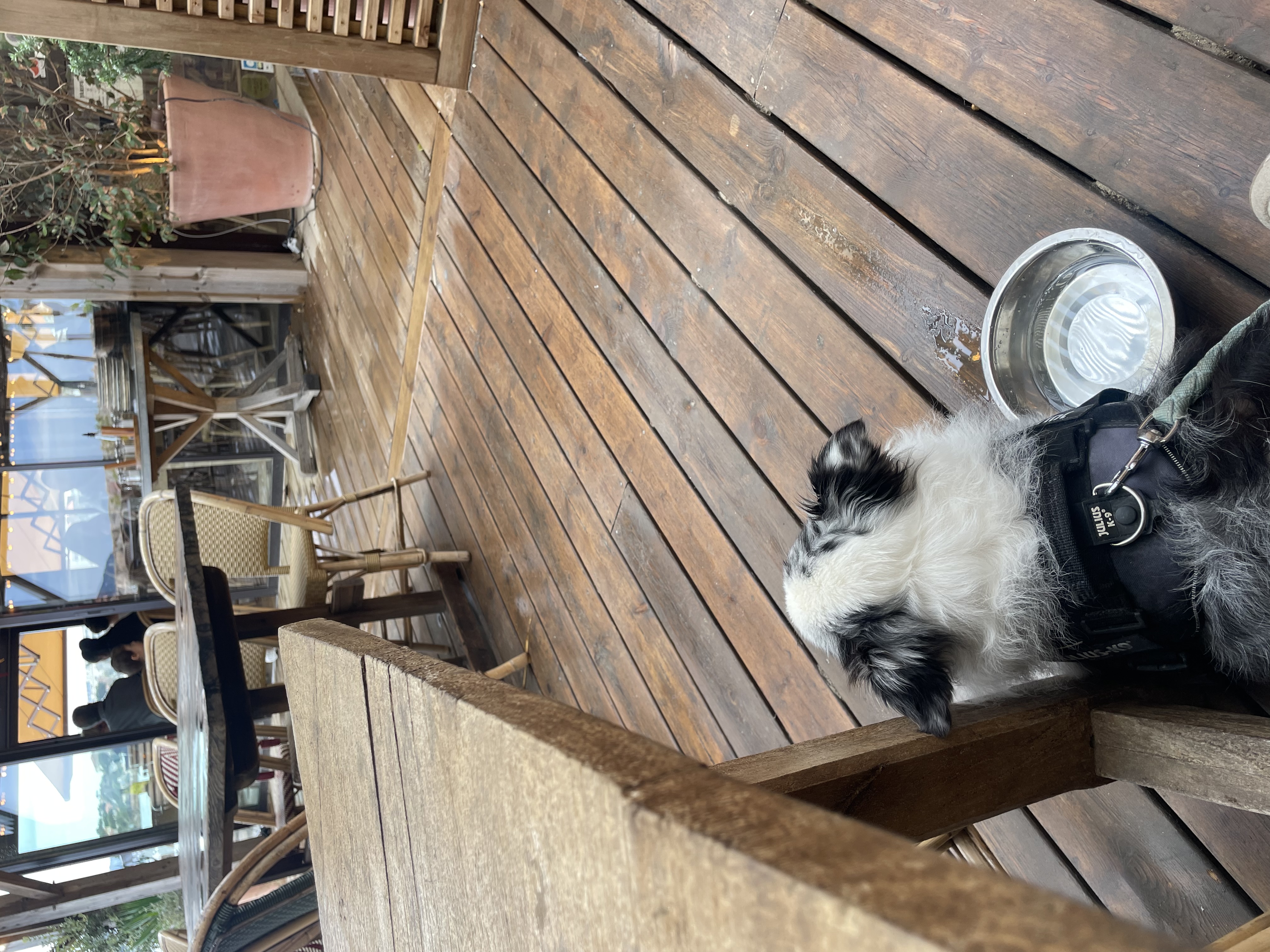 image-10