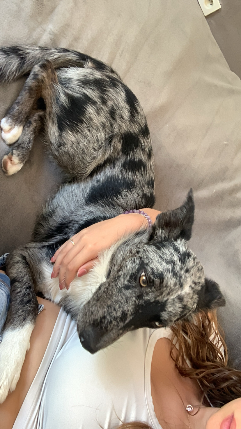 image-8