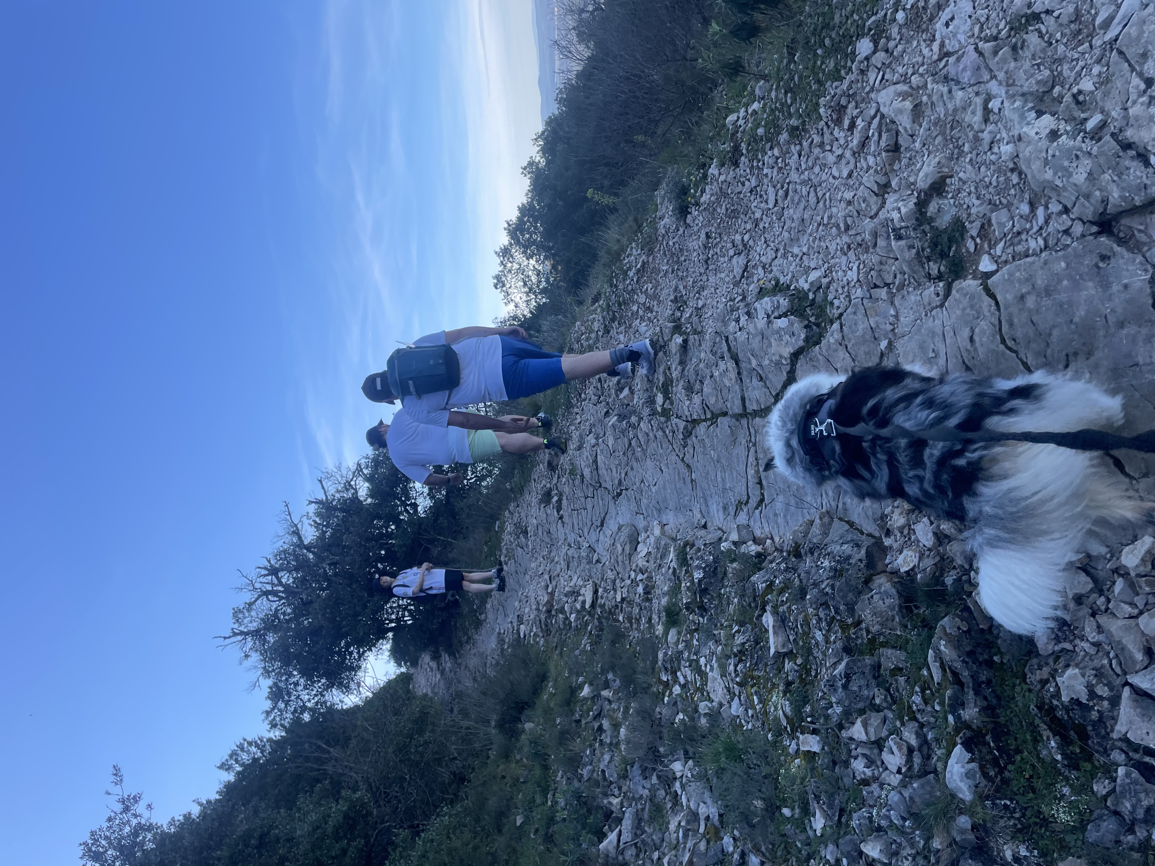 image-11