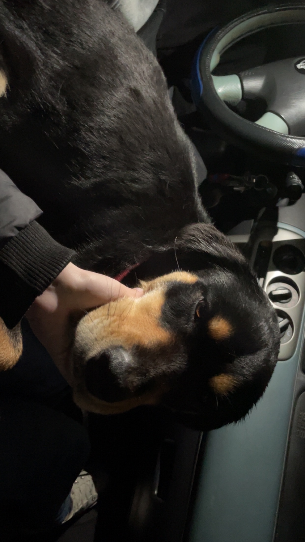 image-6