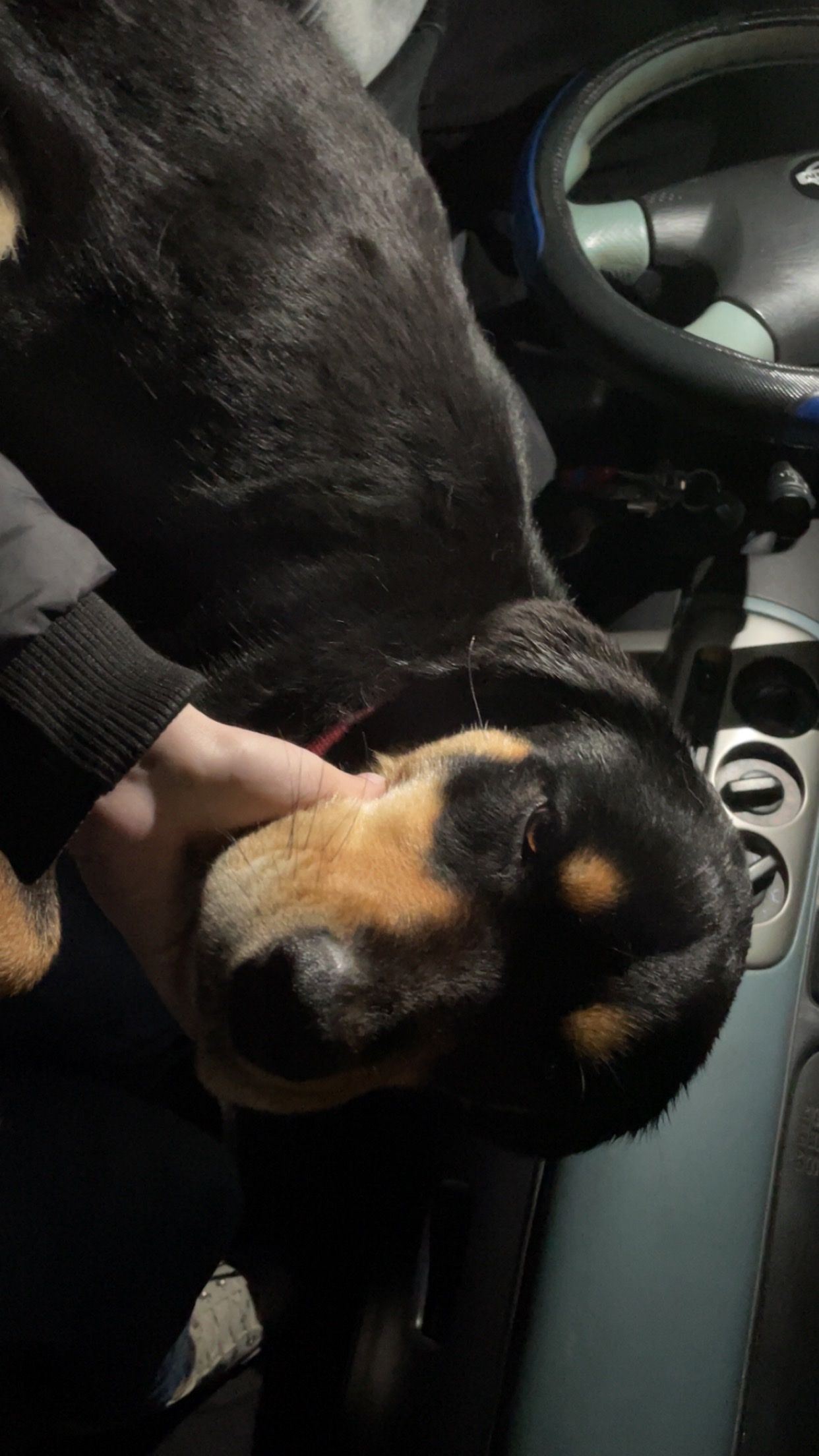 image-6