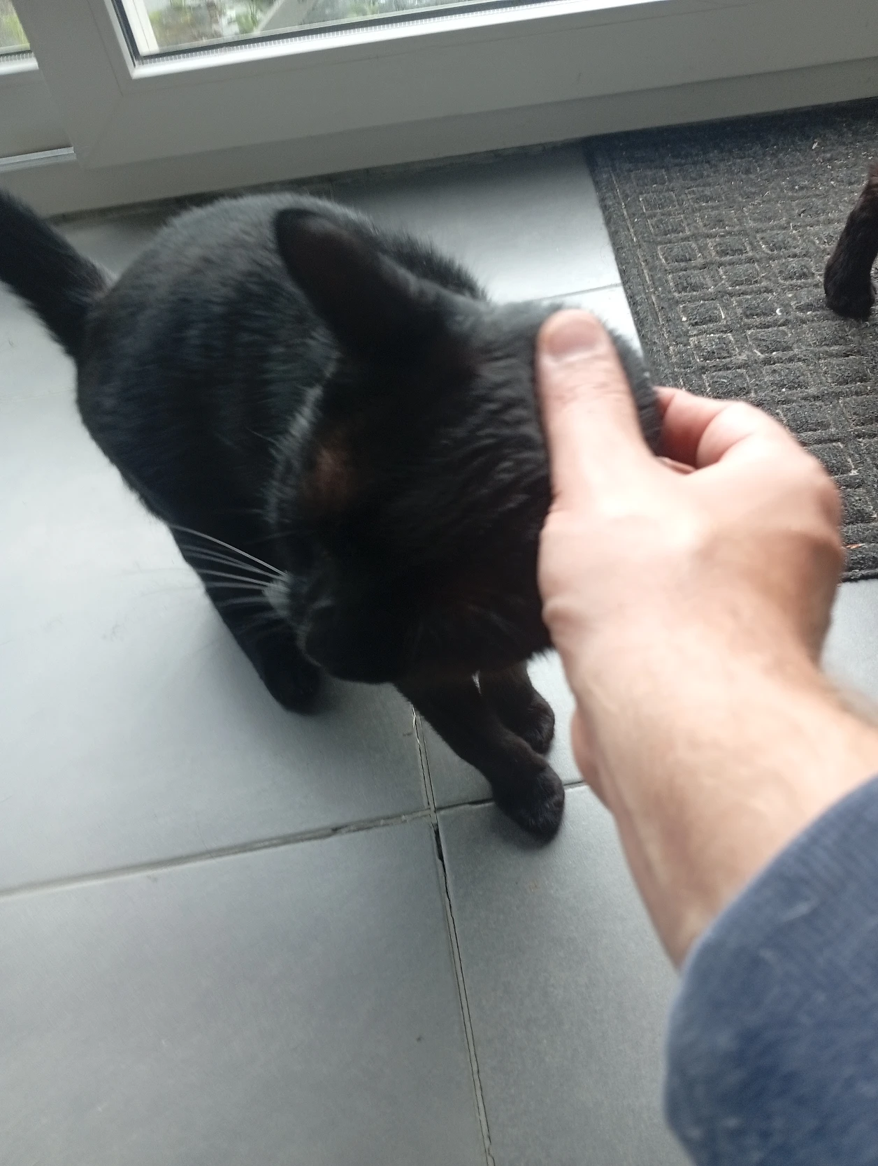 image-16