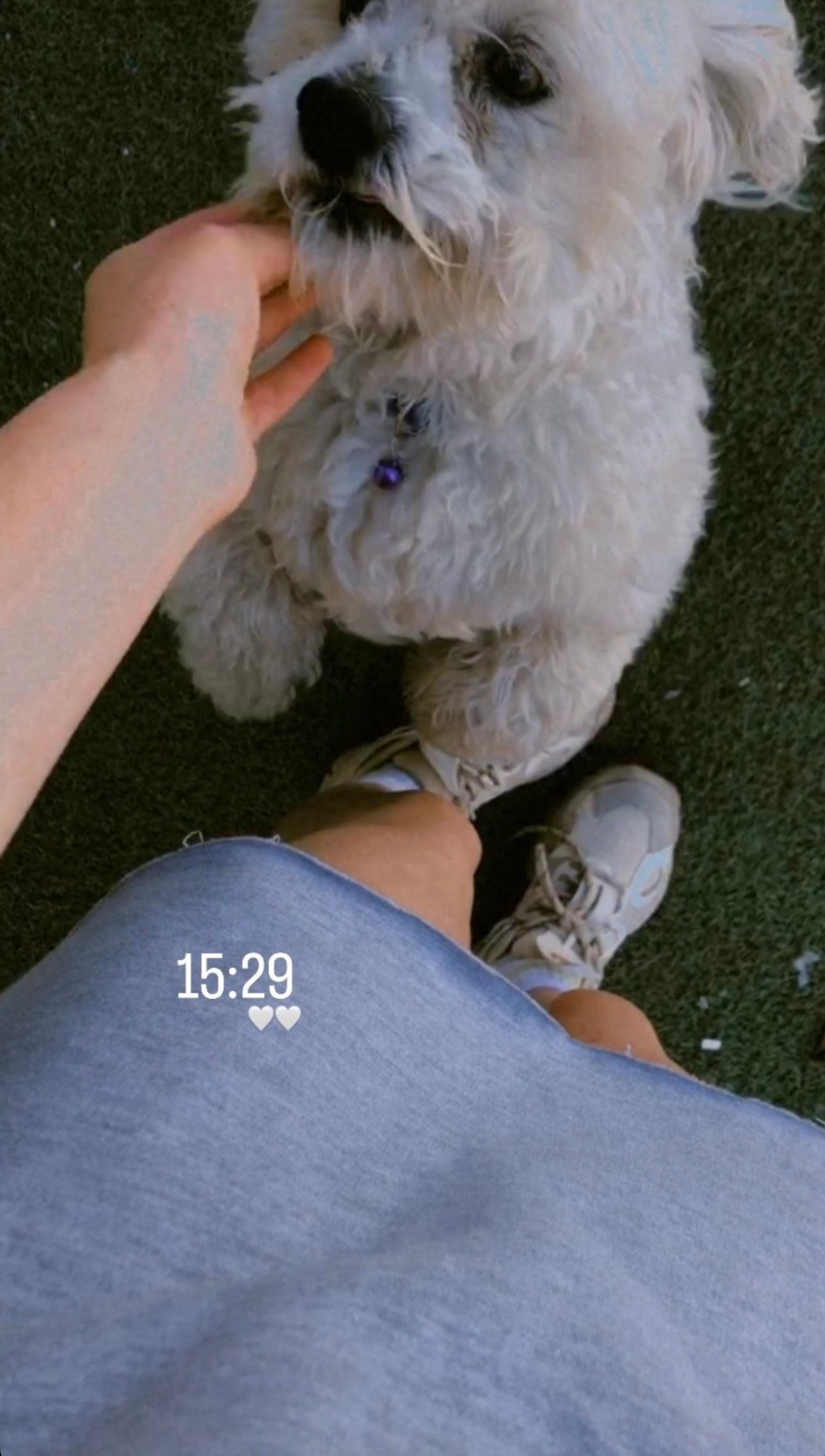 image-16