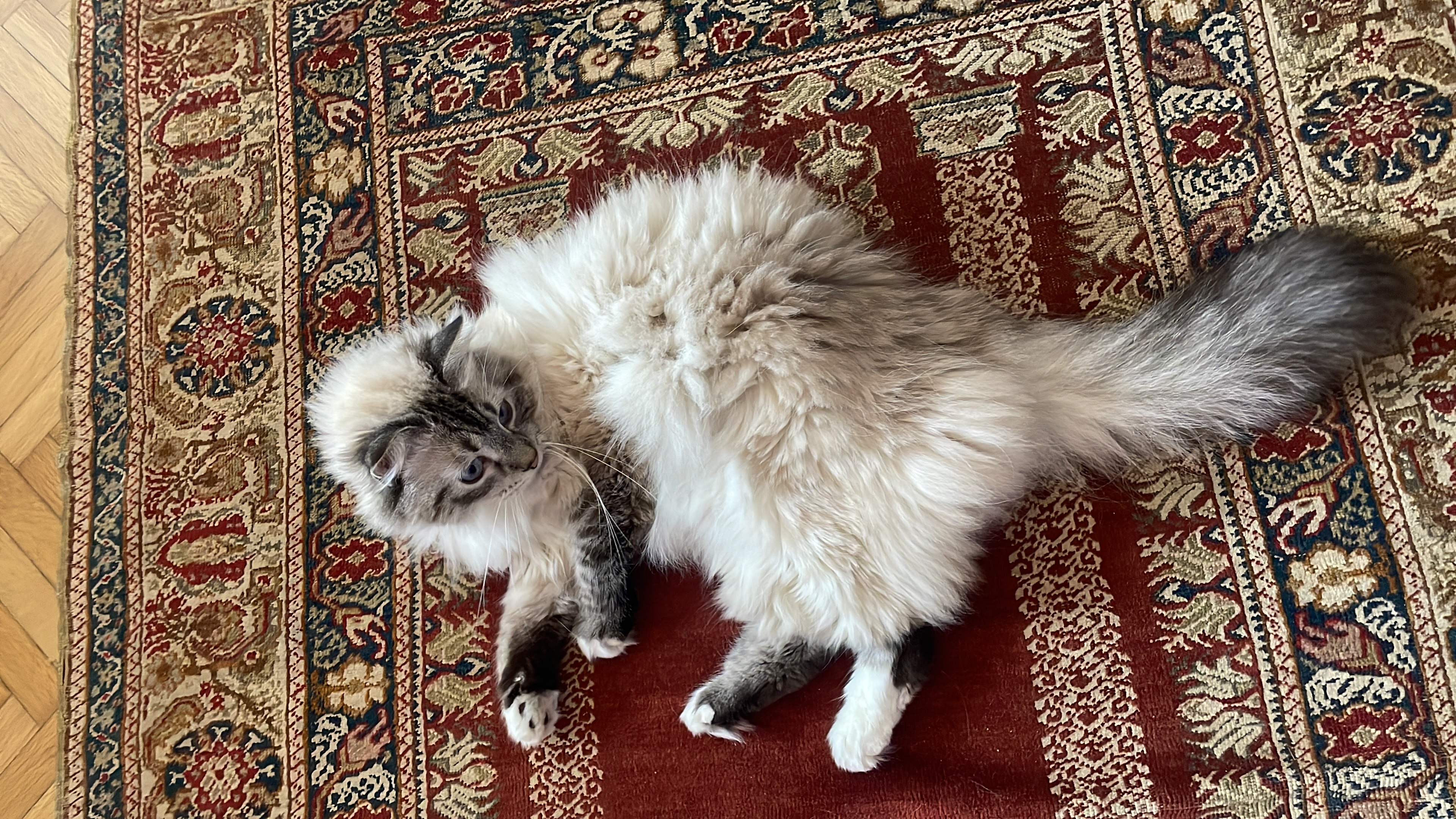 image-6
