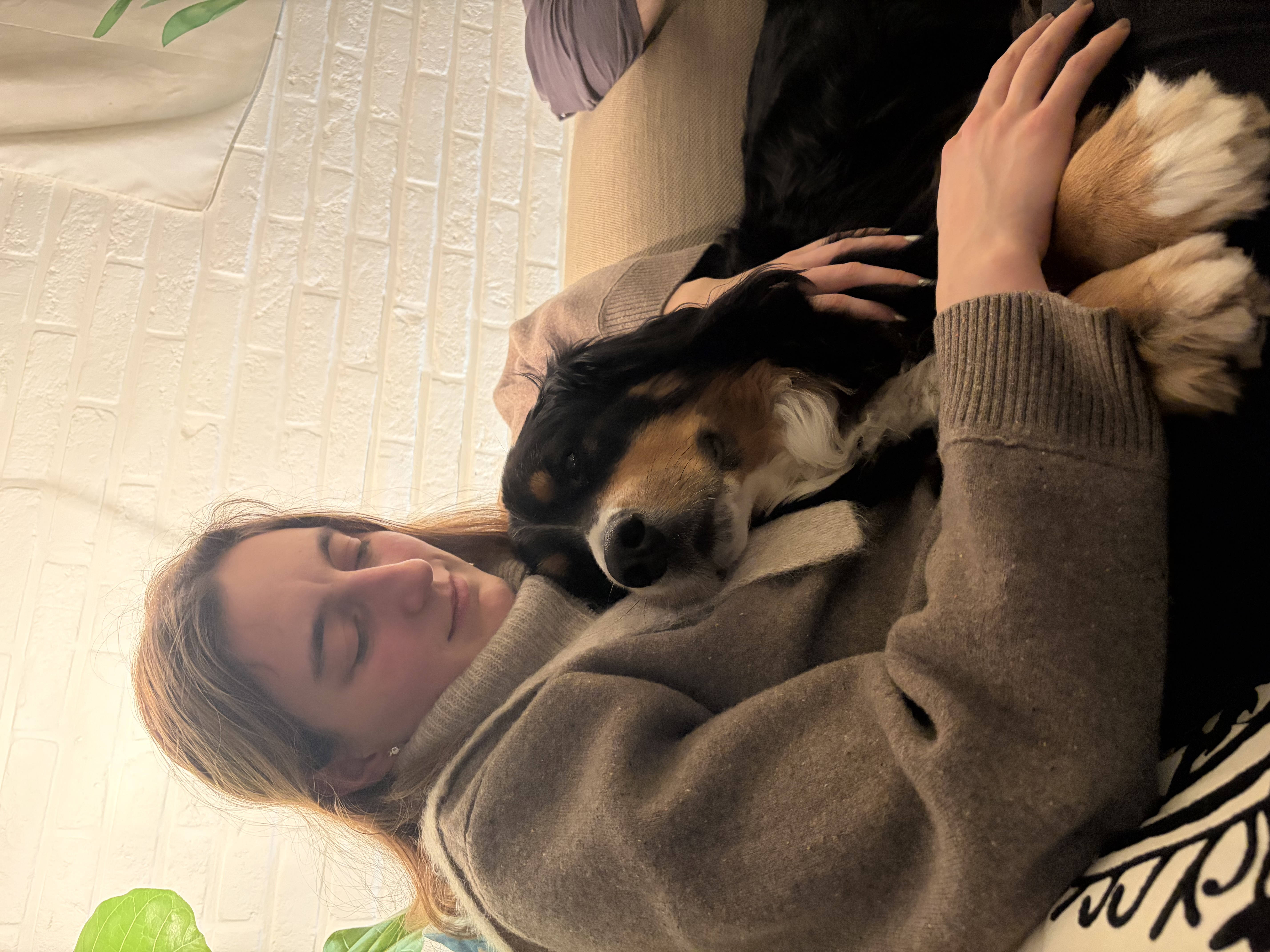 image-7