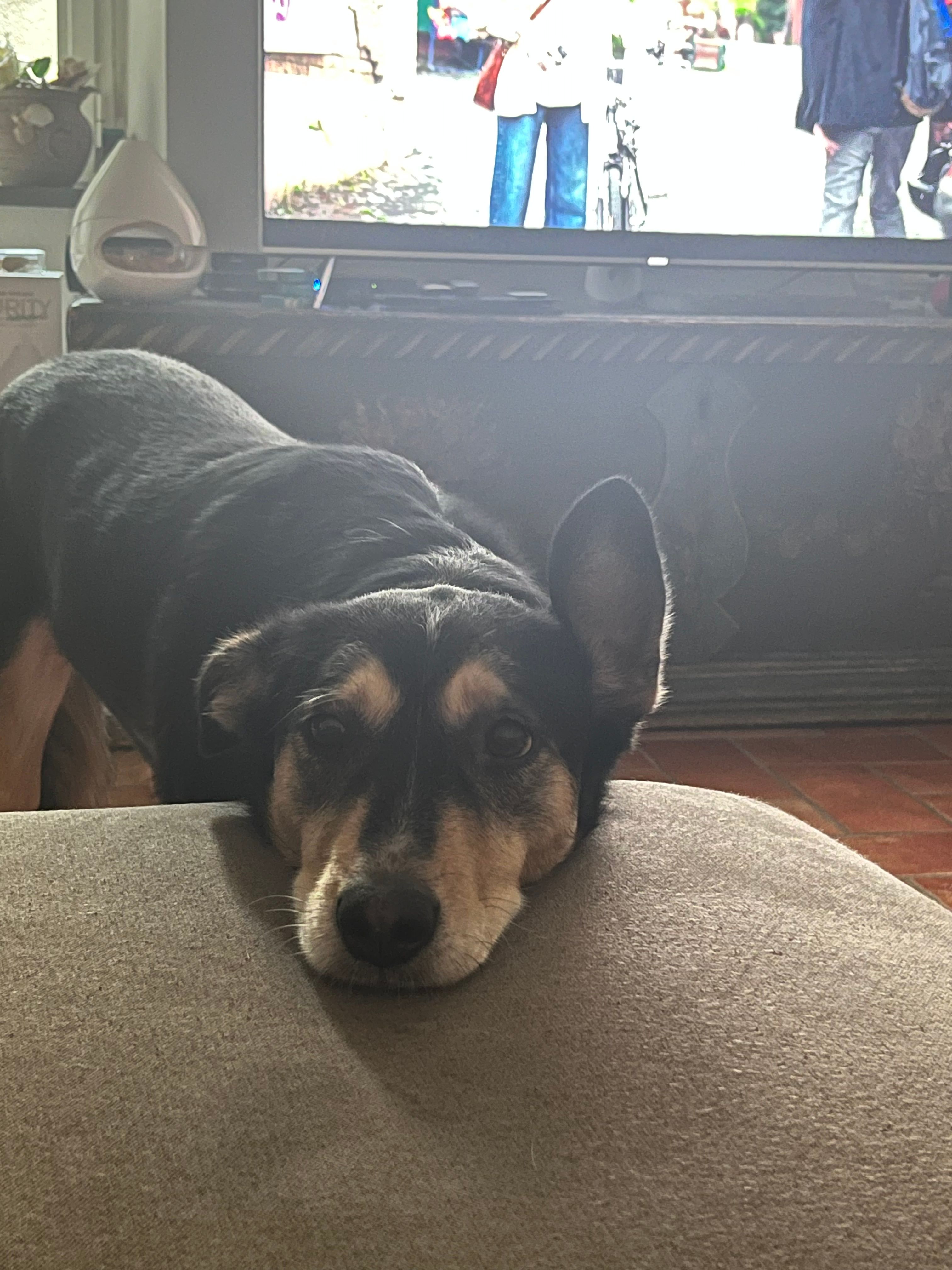 image-6