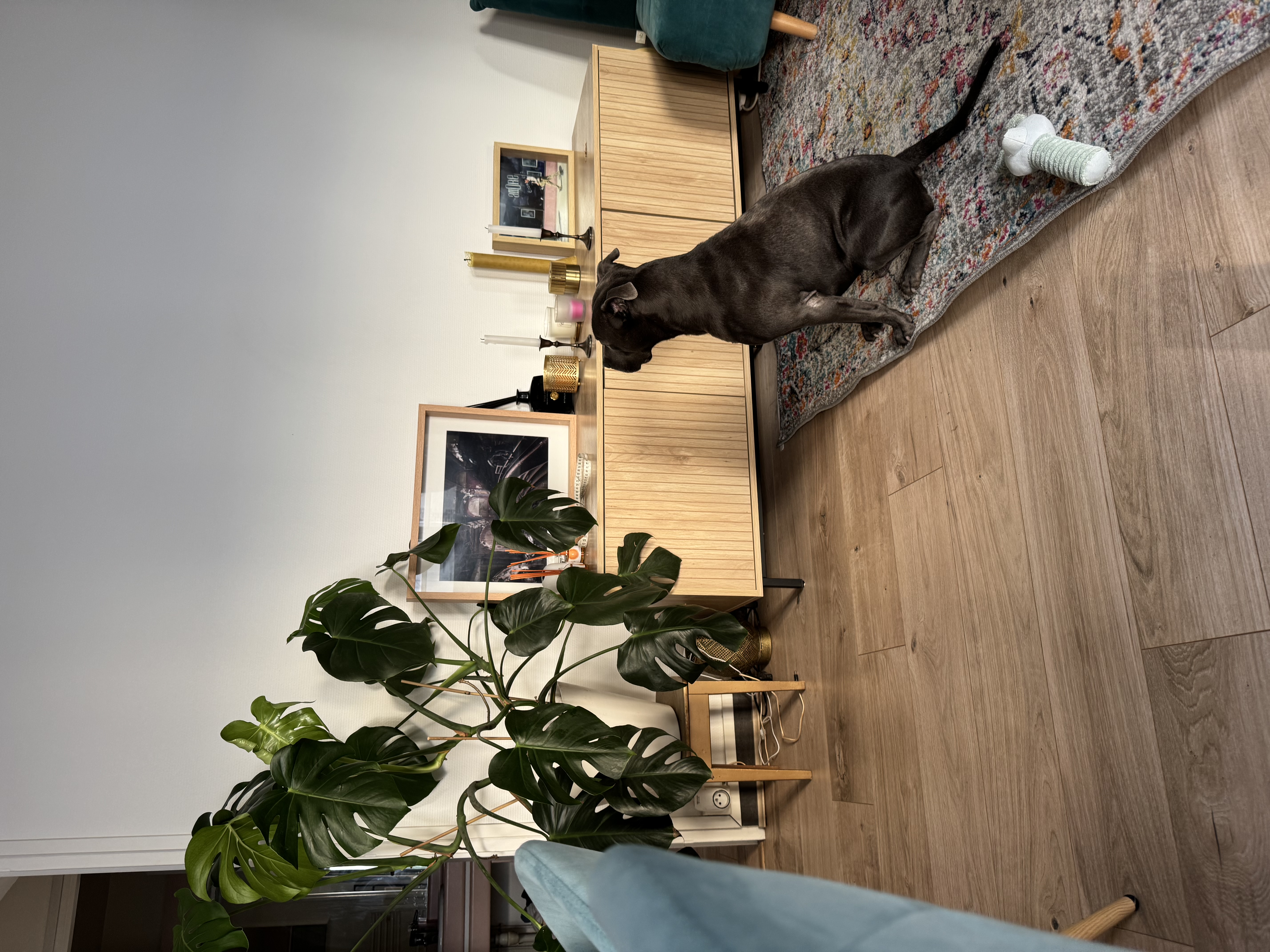 image-9