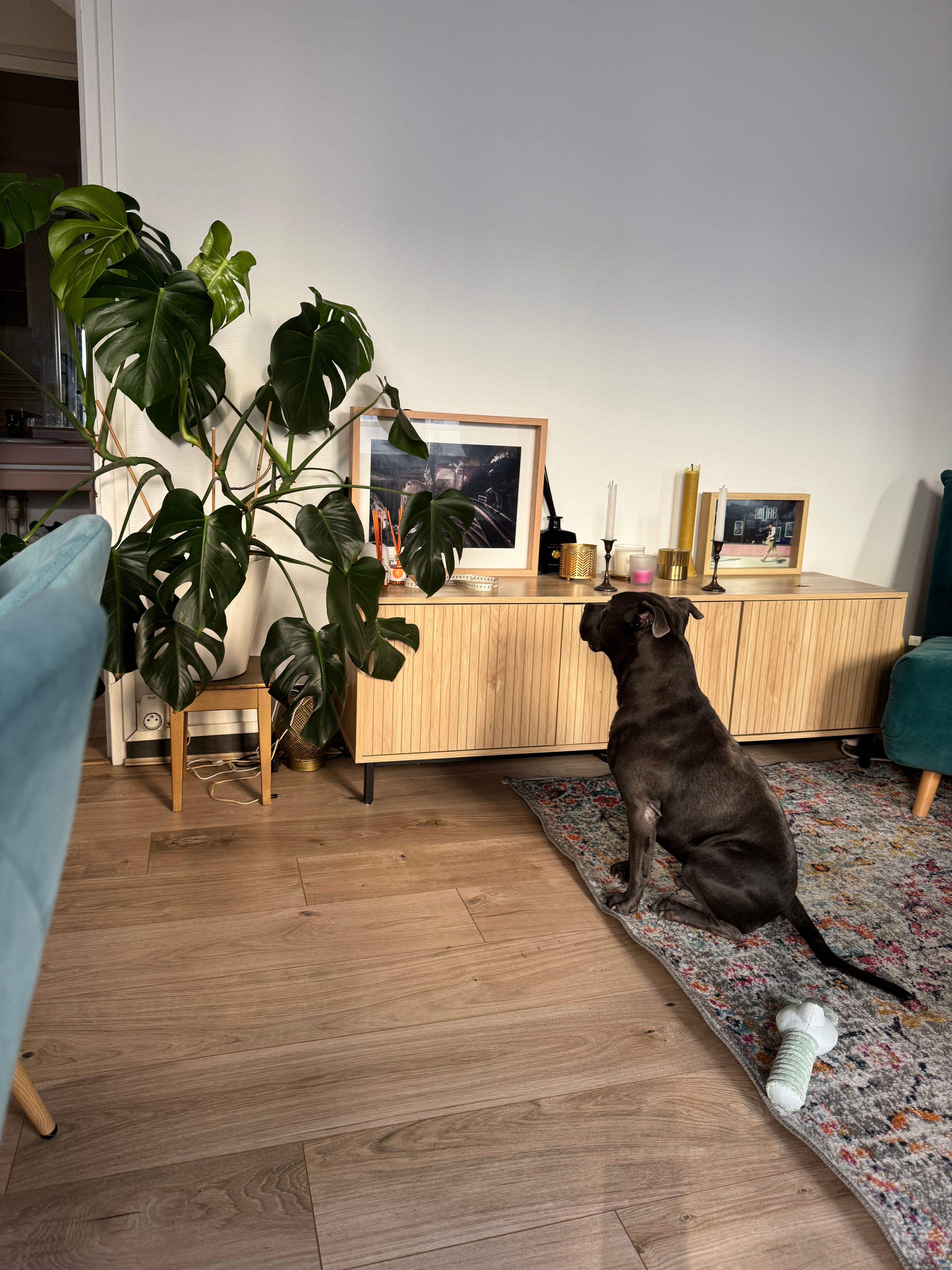 image-9