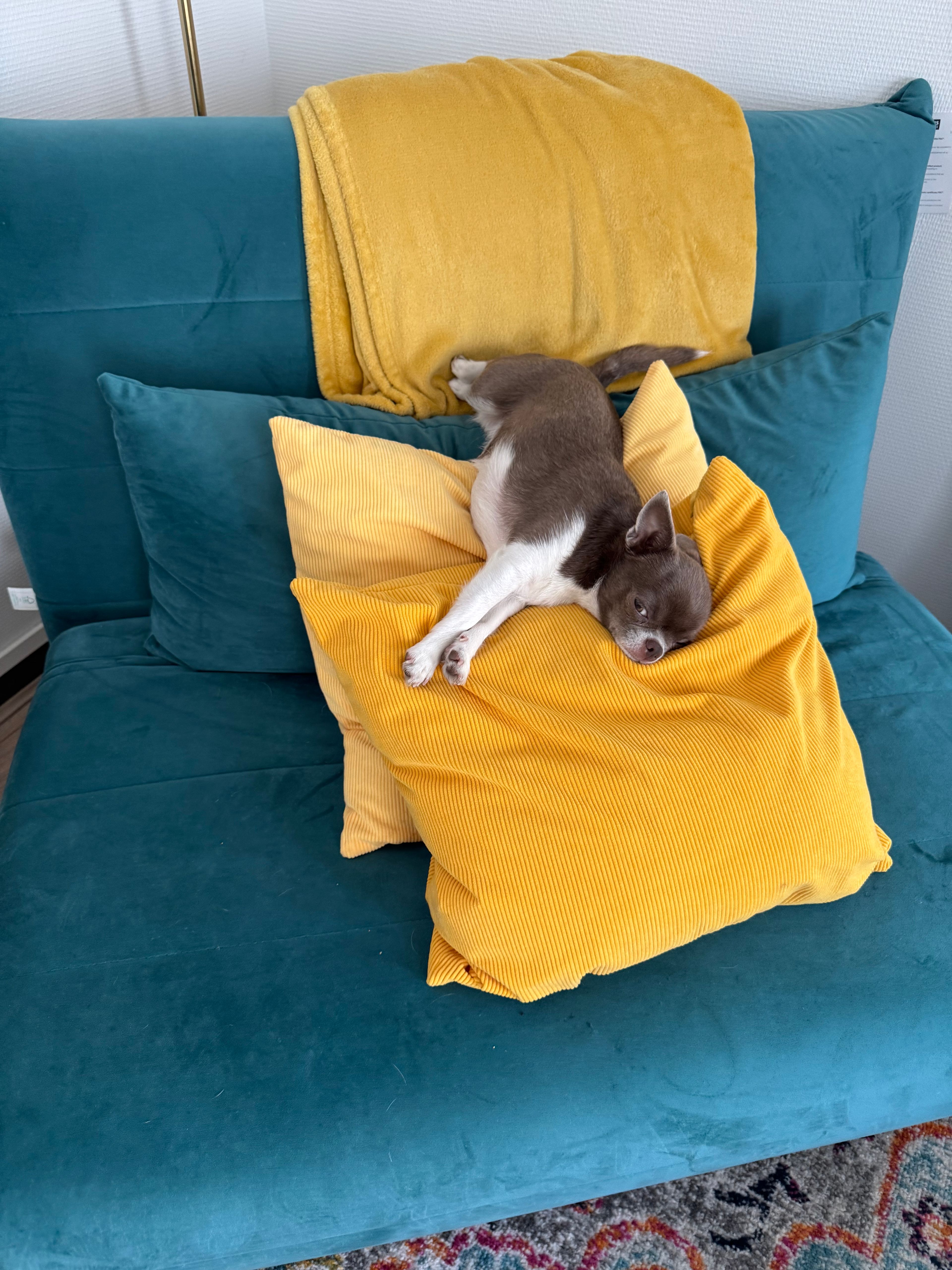 image-12