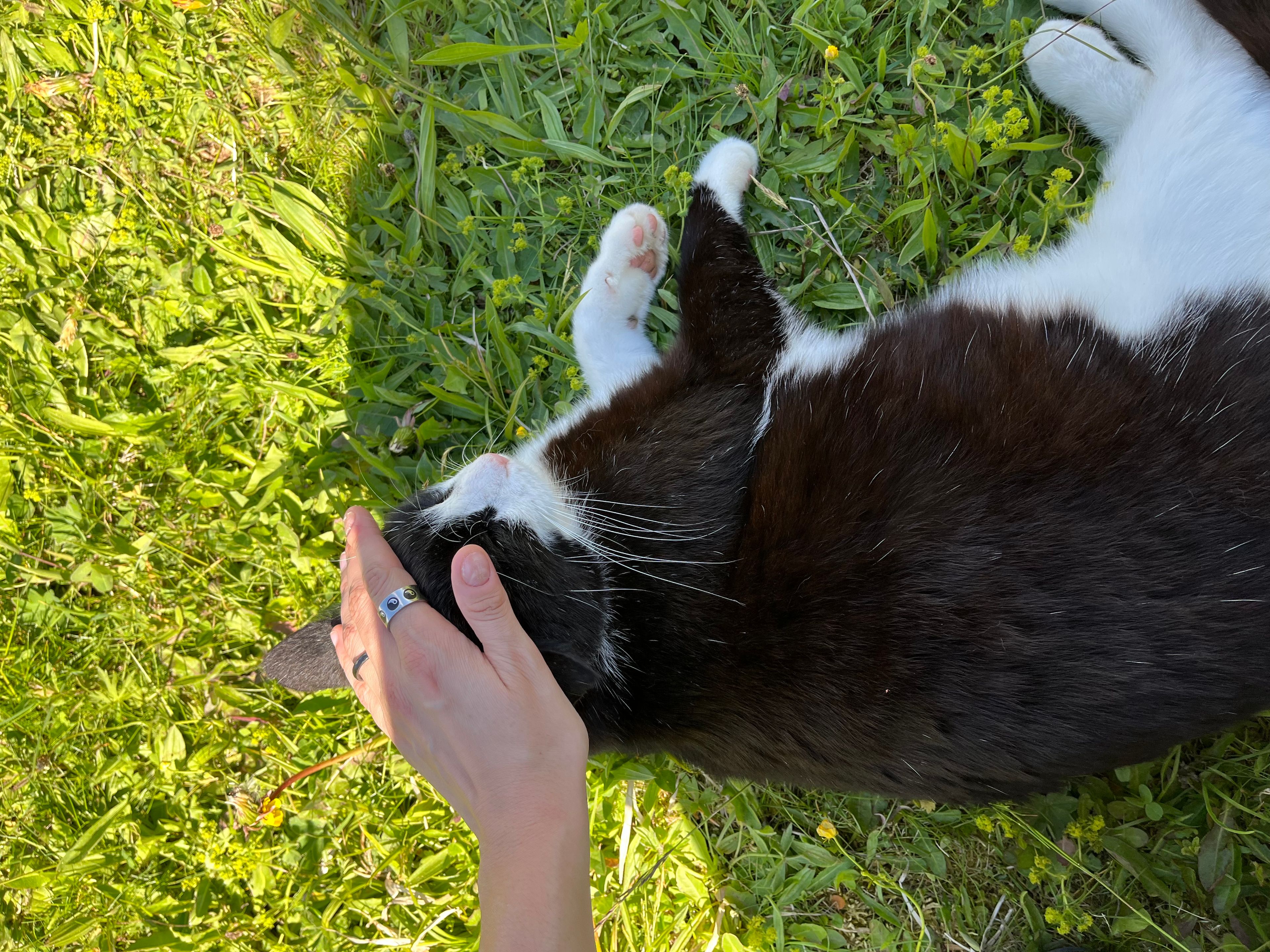 image-6