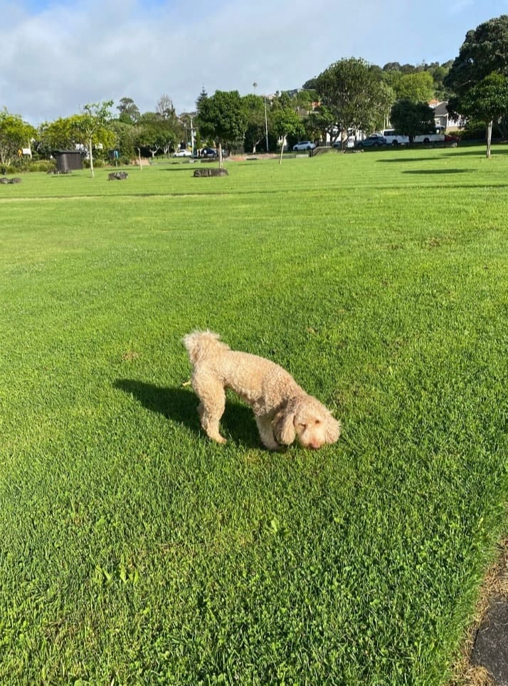 image-13