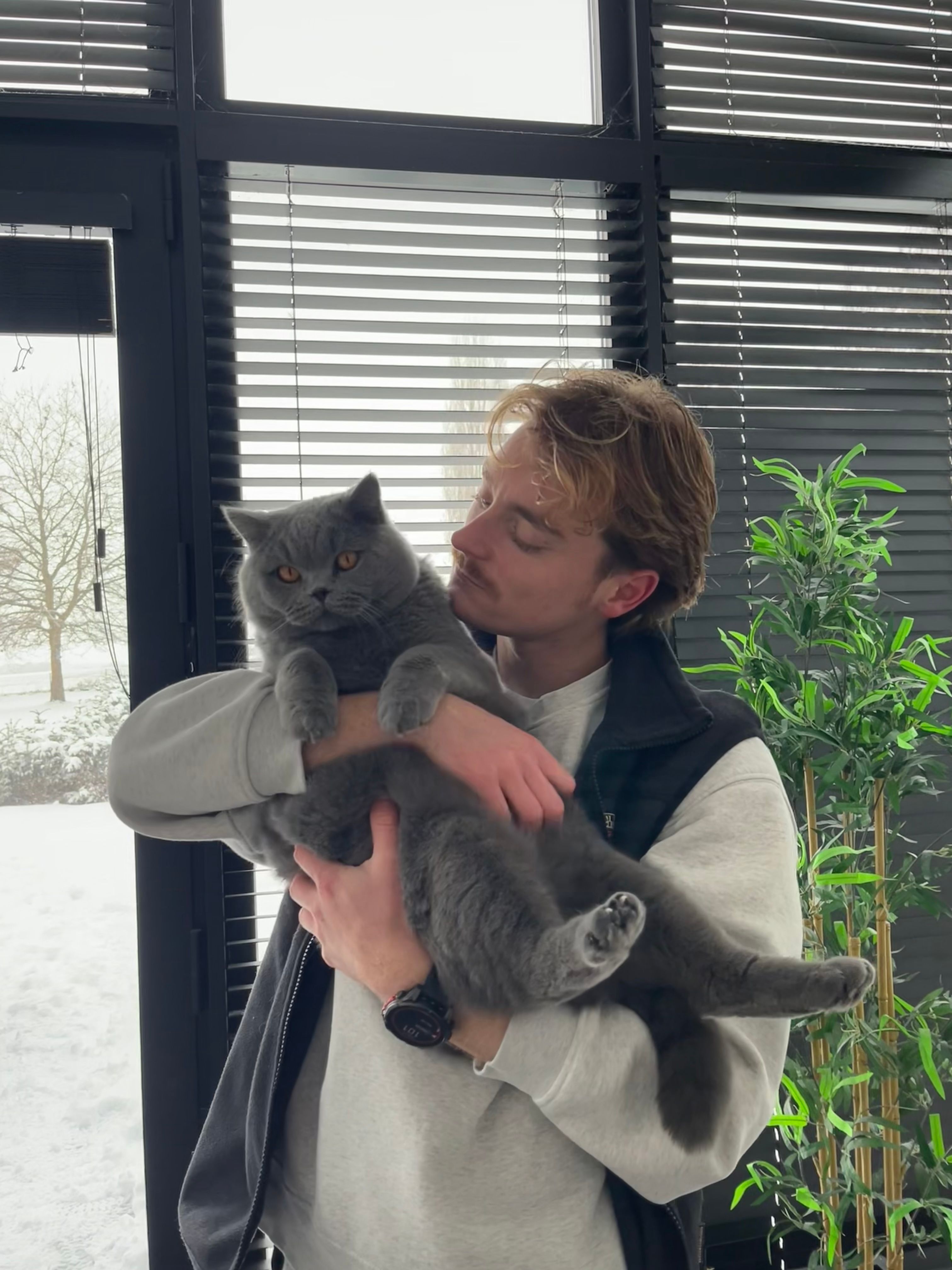image-3
