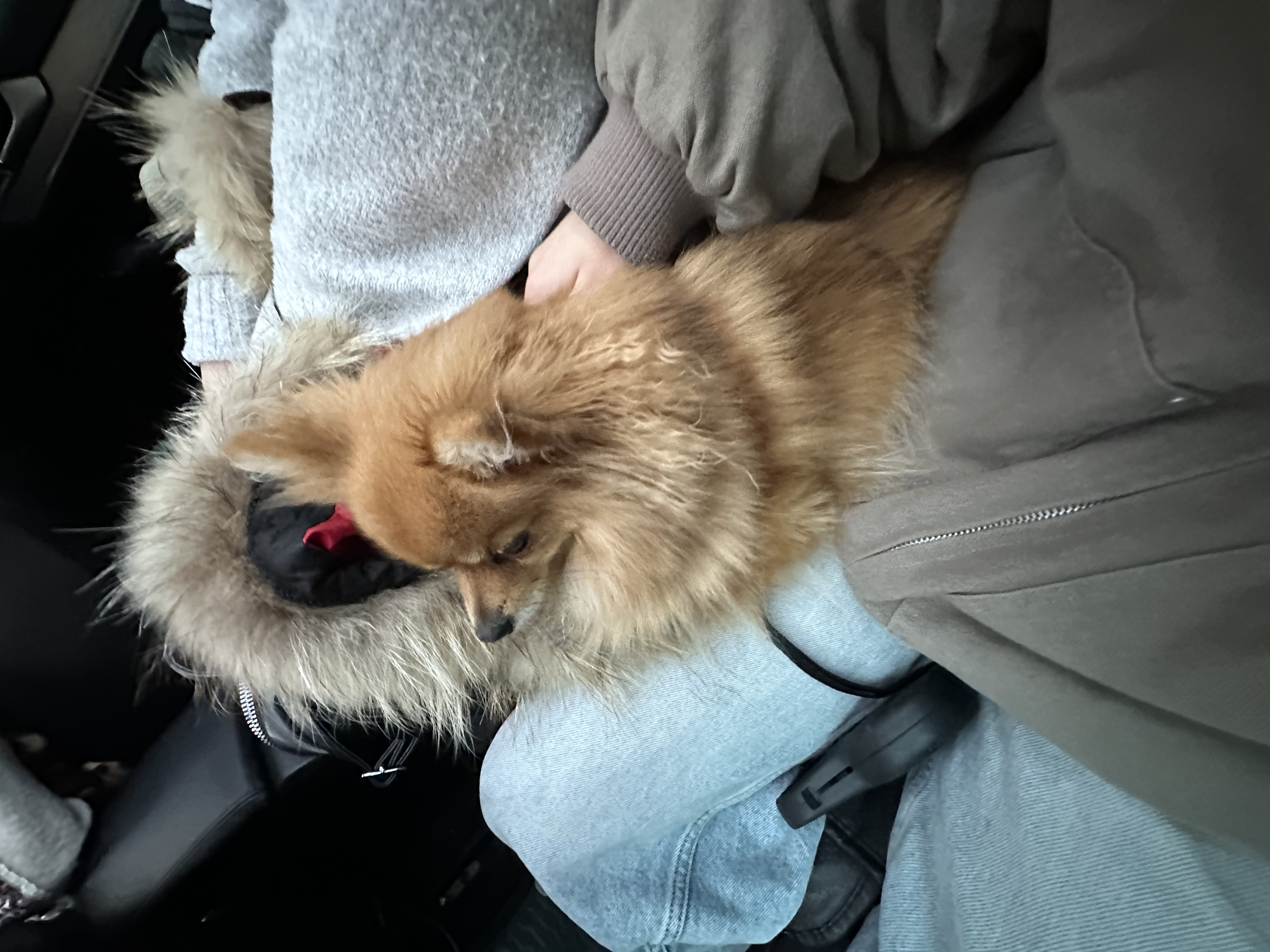 image-8