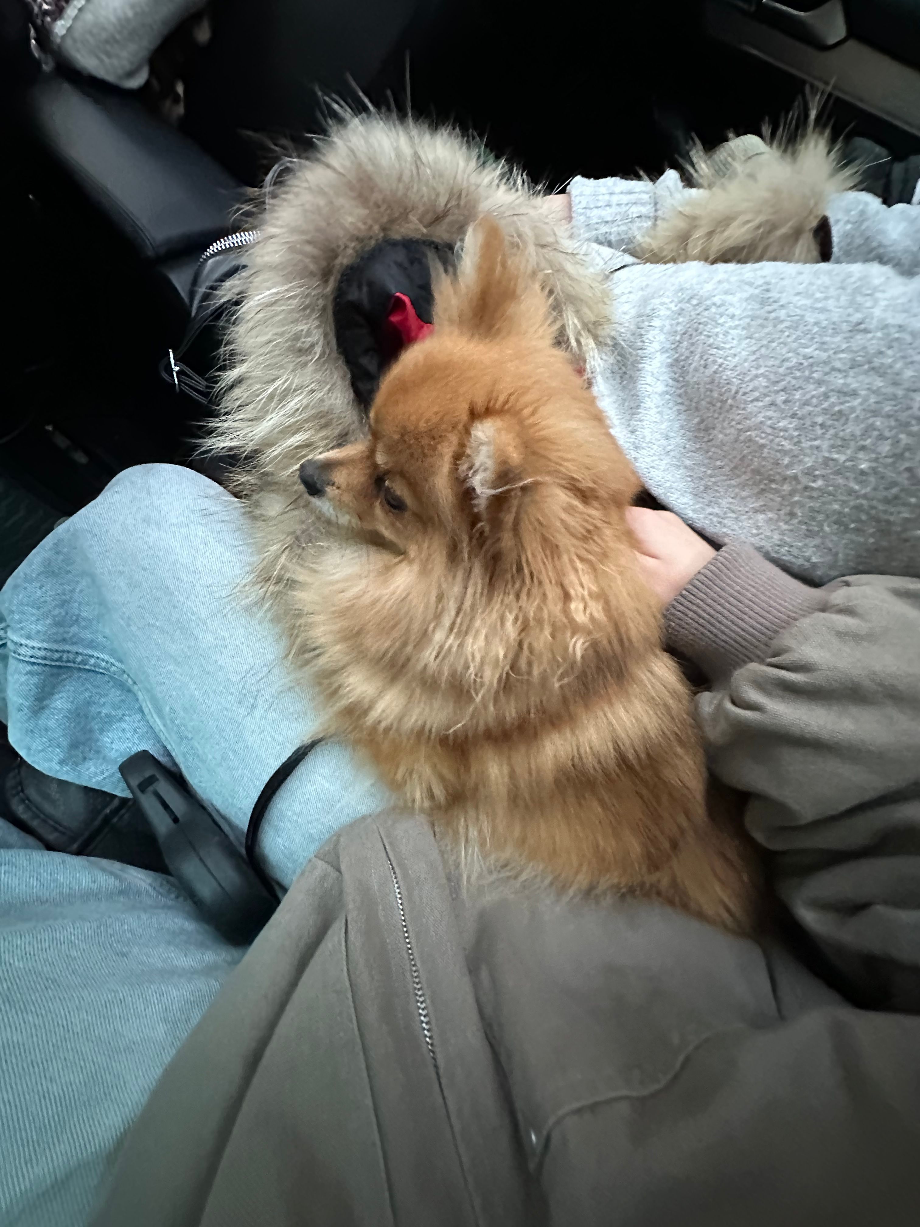 image-8