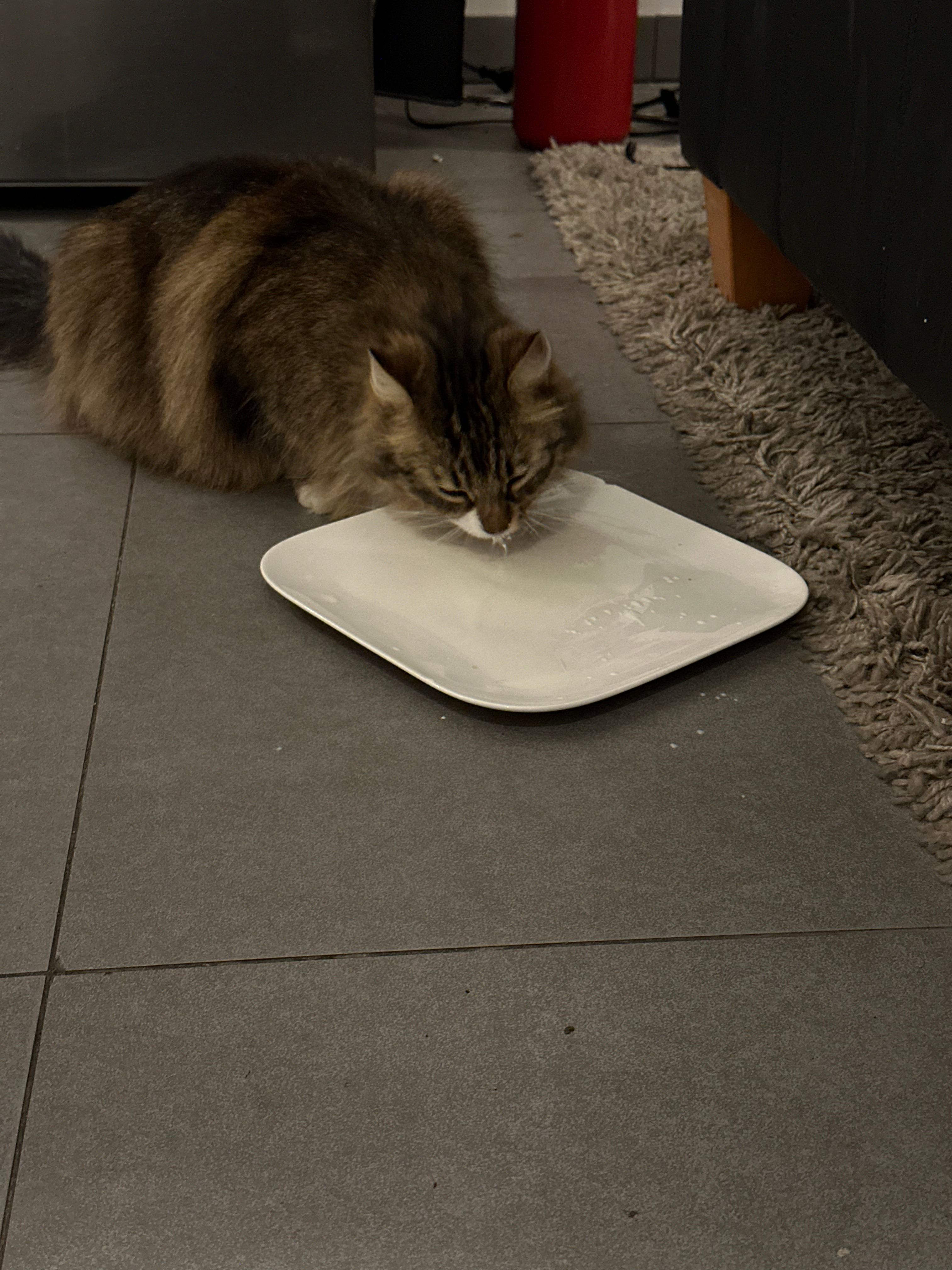 image-13