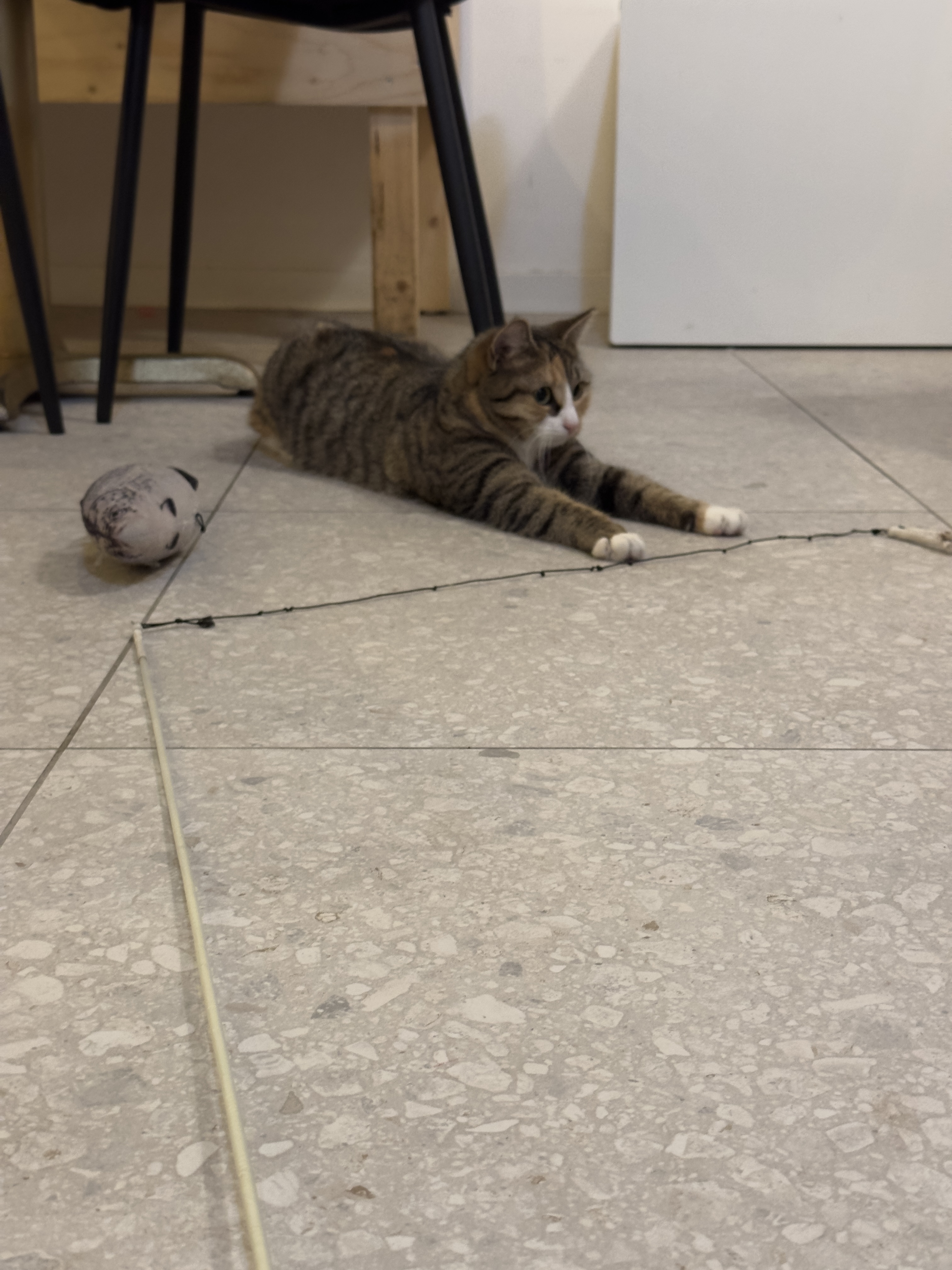 image-17
