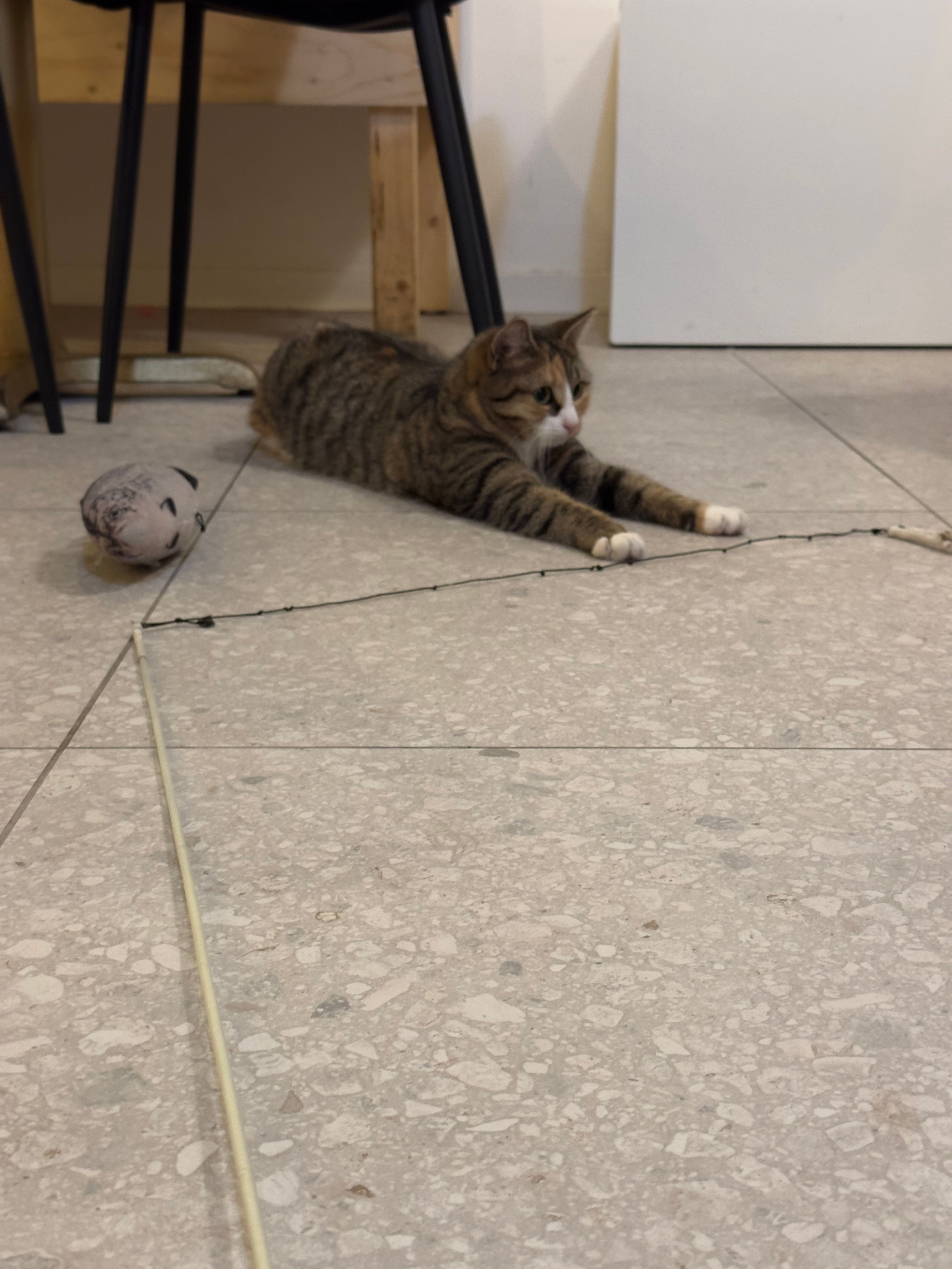 image-17