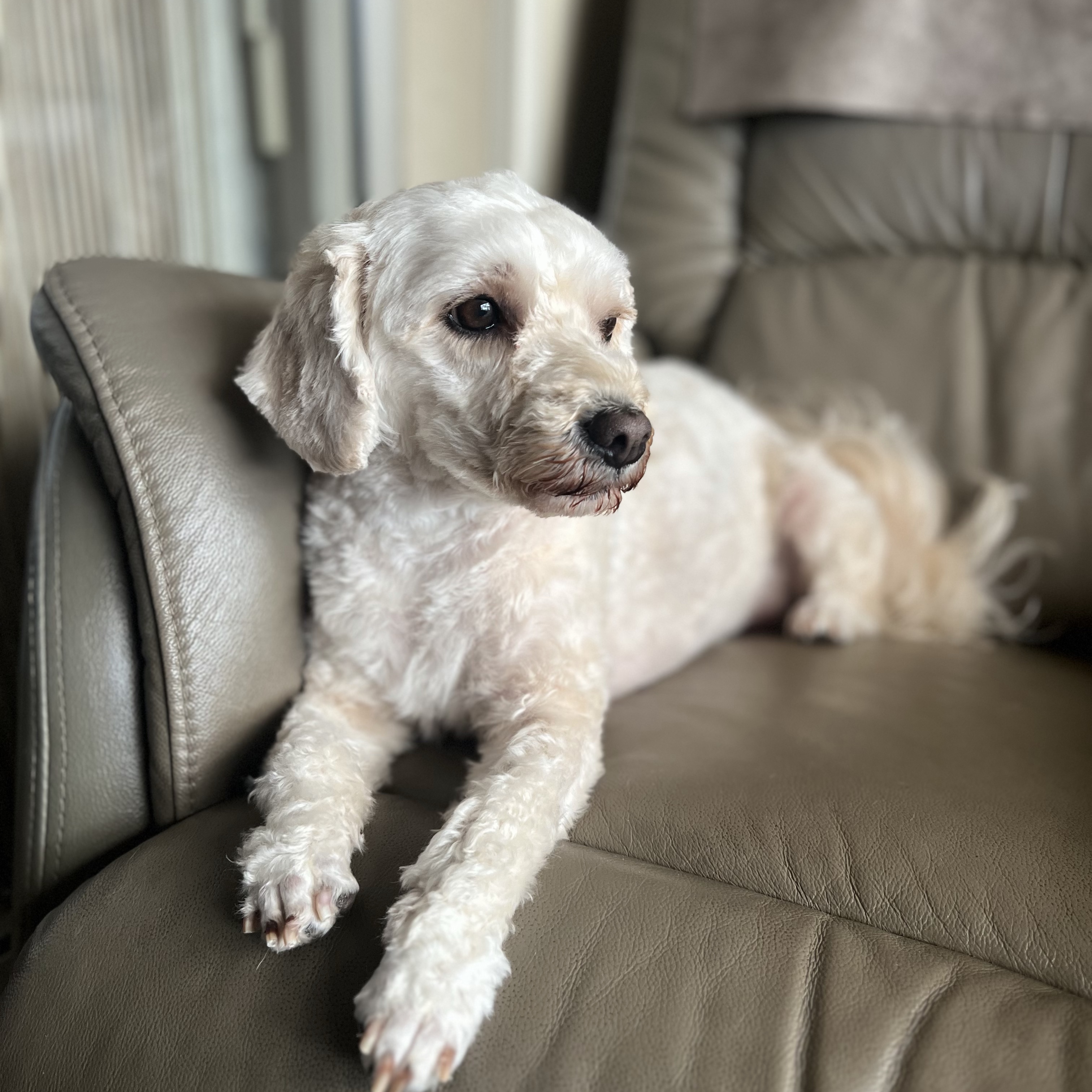 Molly