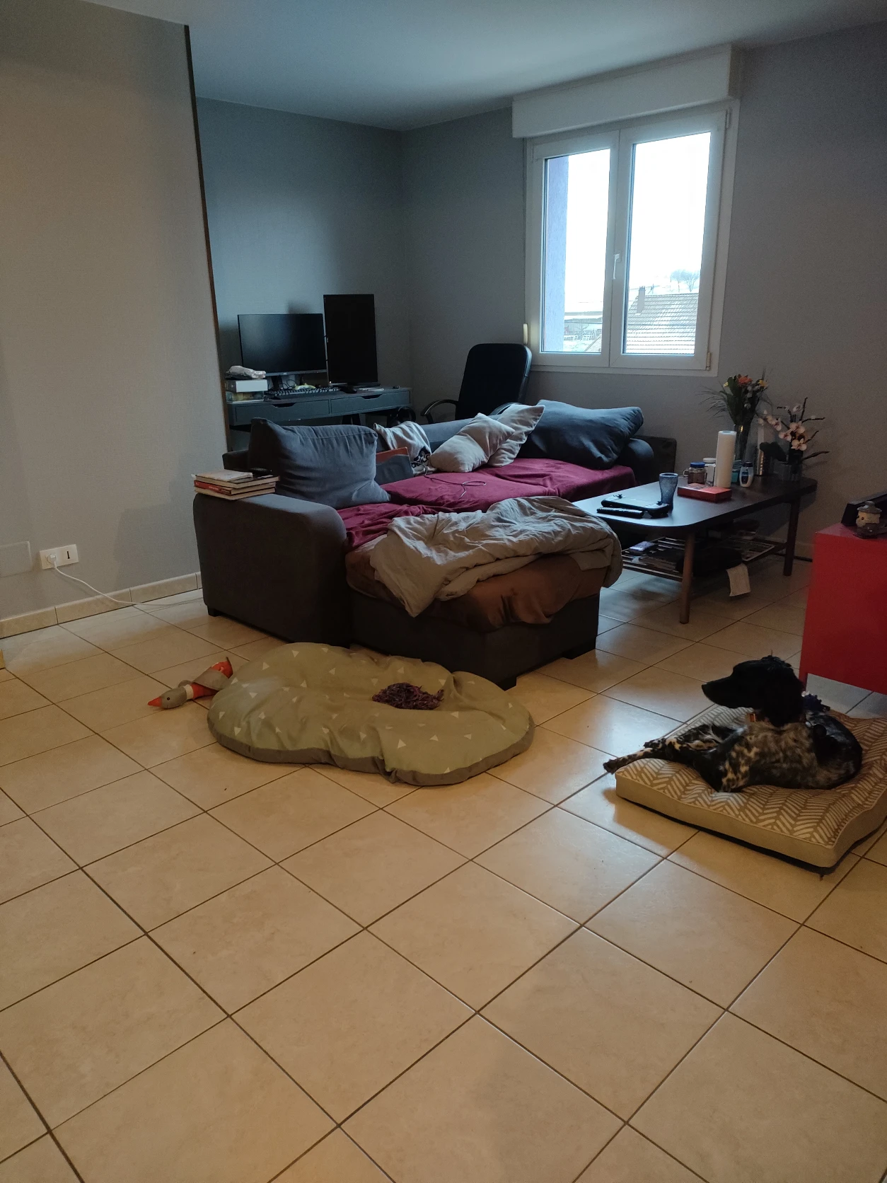 image-10