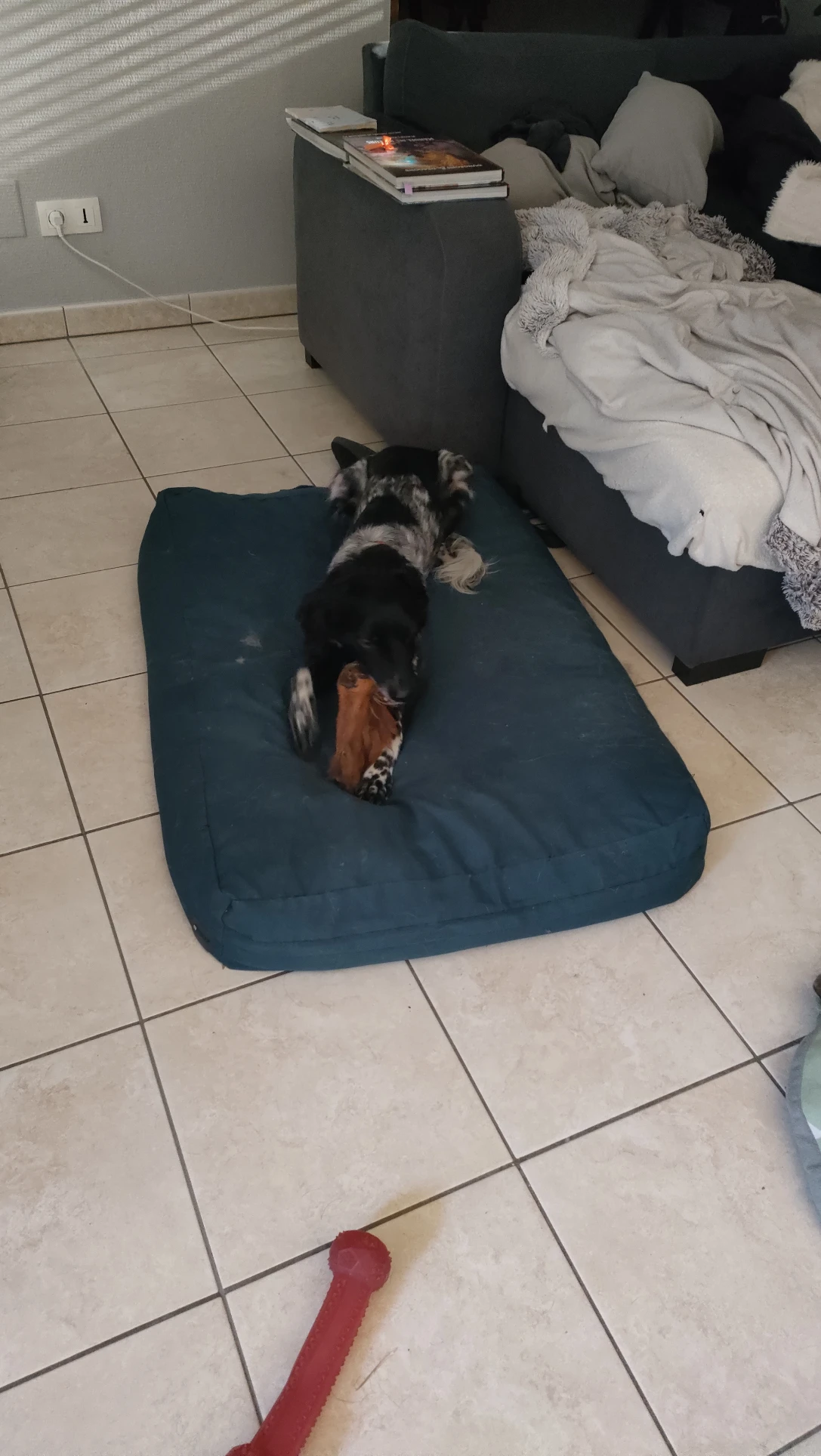 image-8