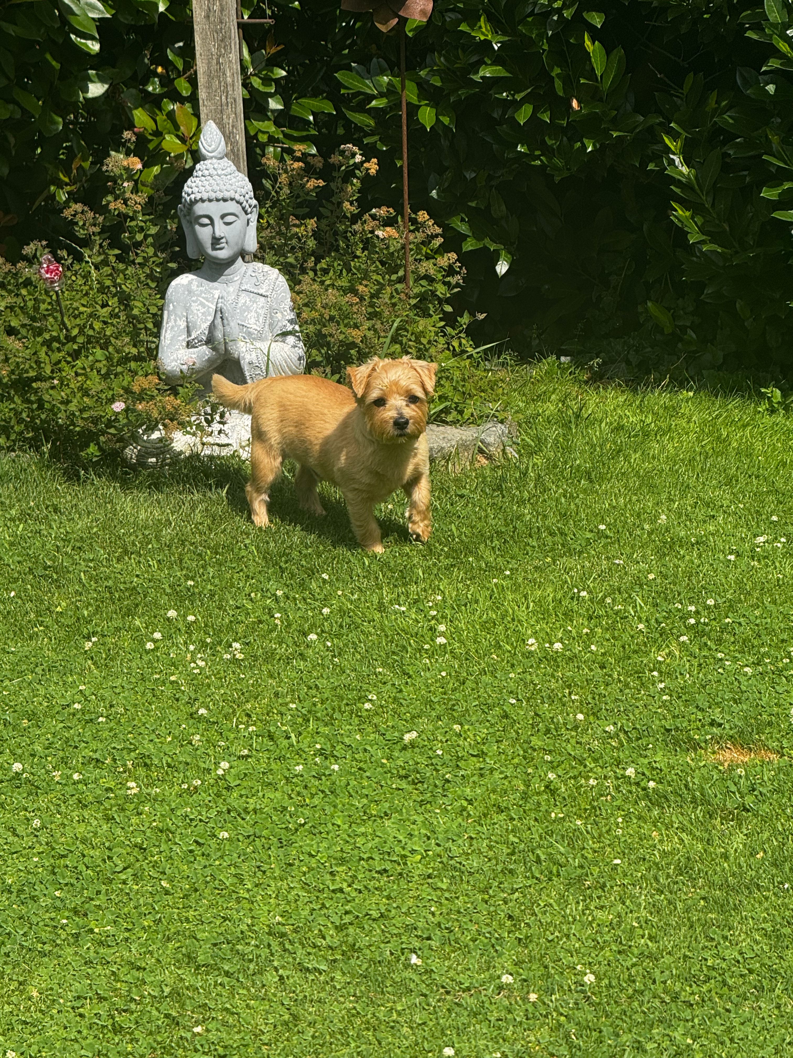 image-14