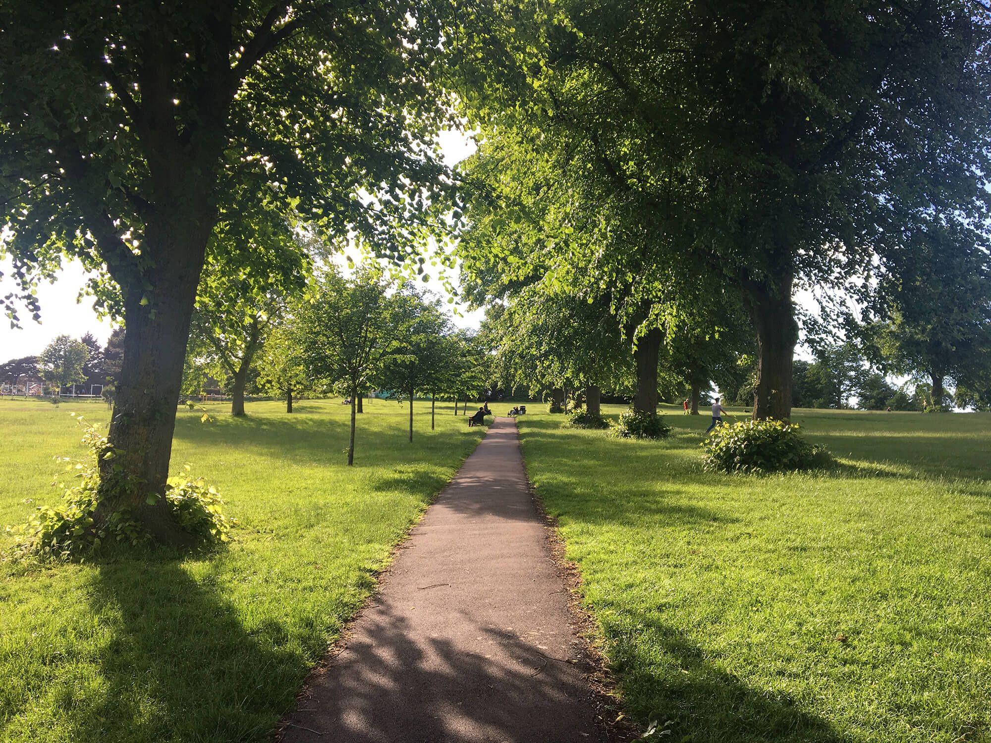 image-20