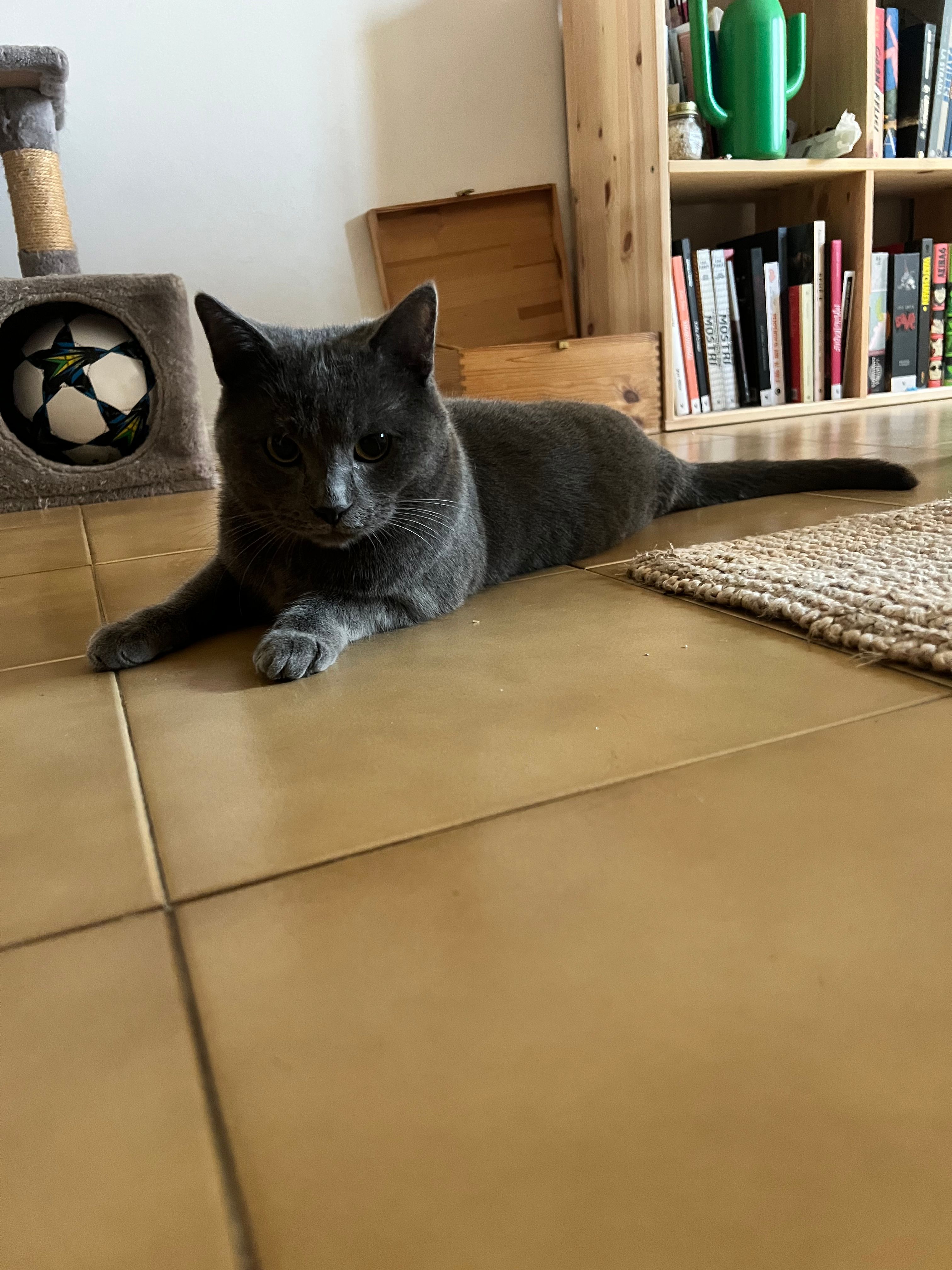 image-7