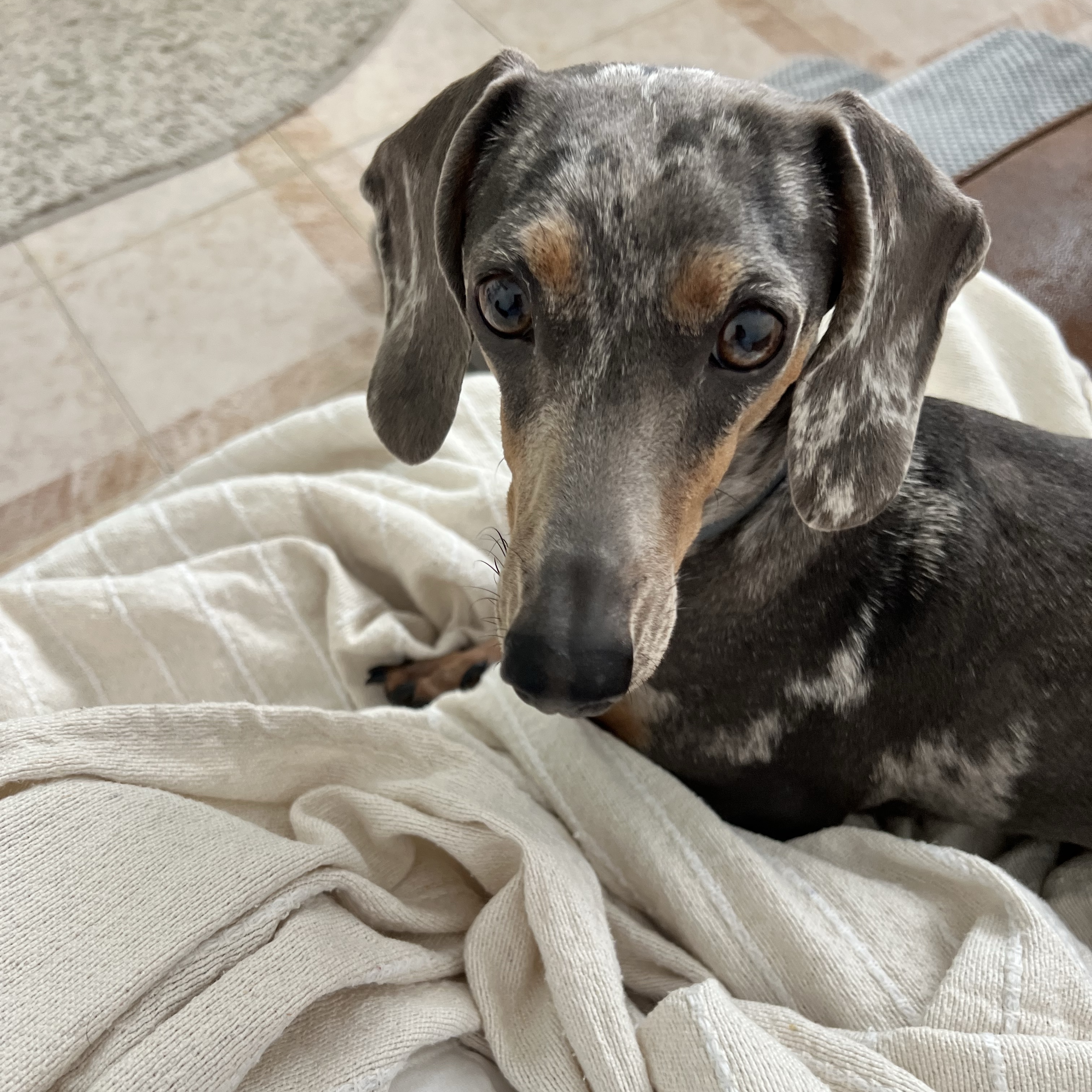 Zoe