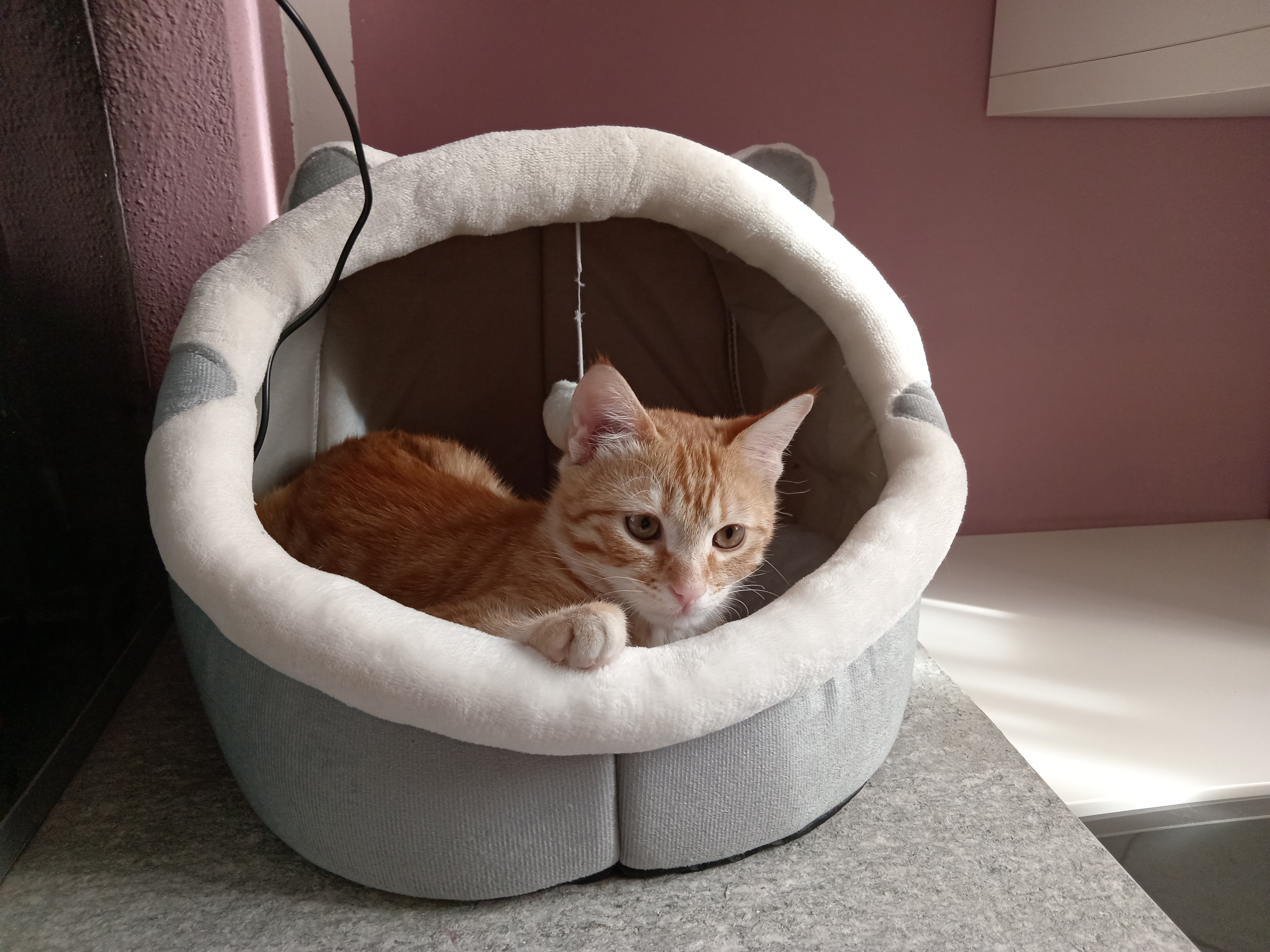 image-8