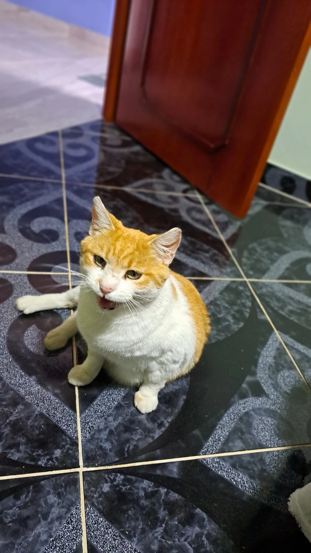 image-10