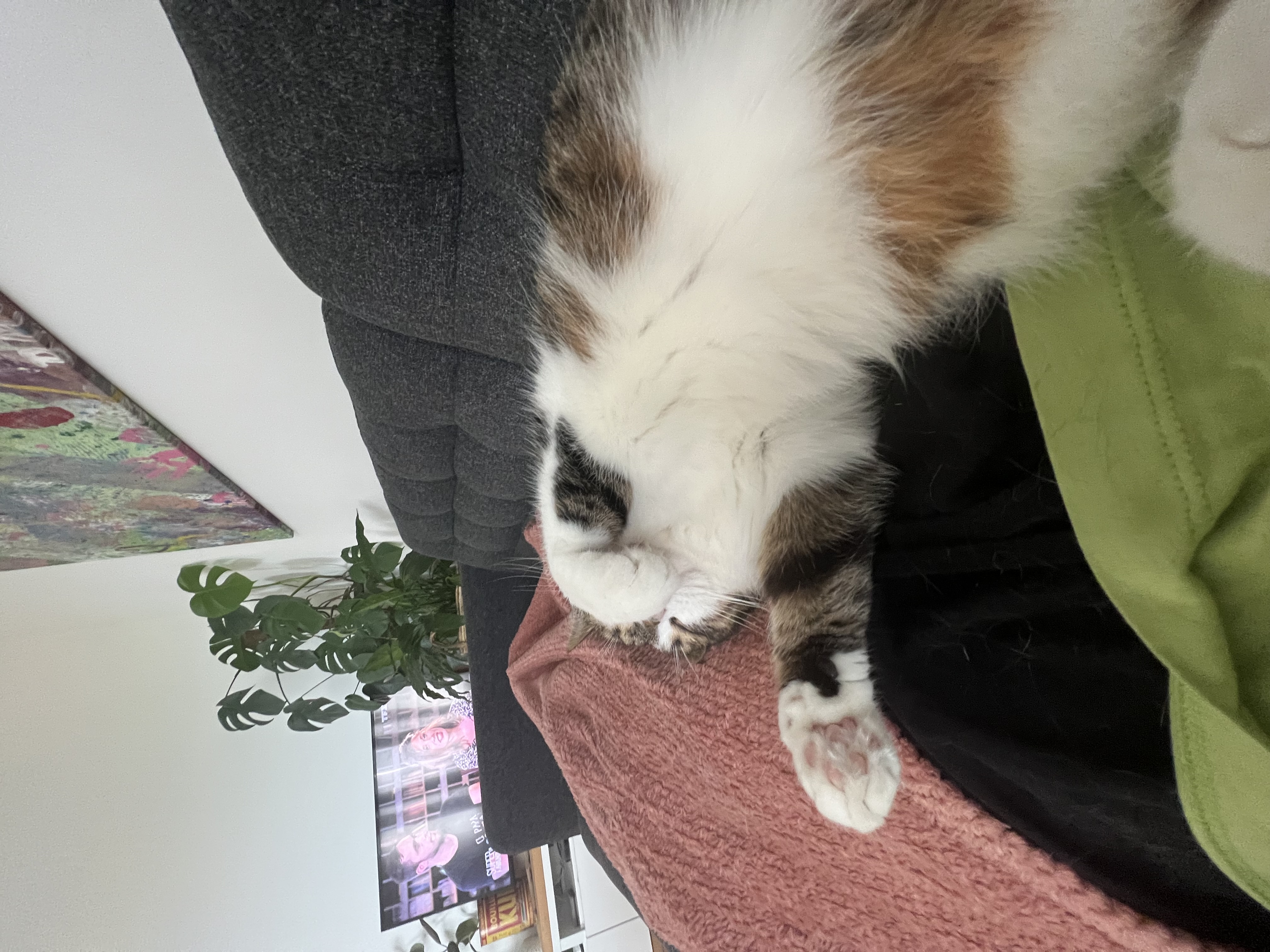 image-5