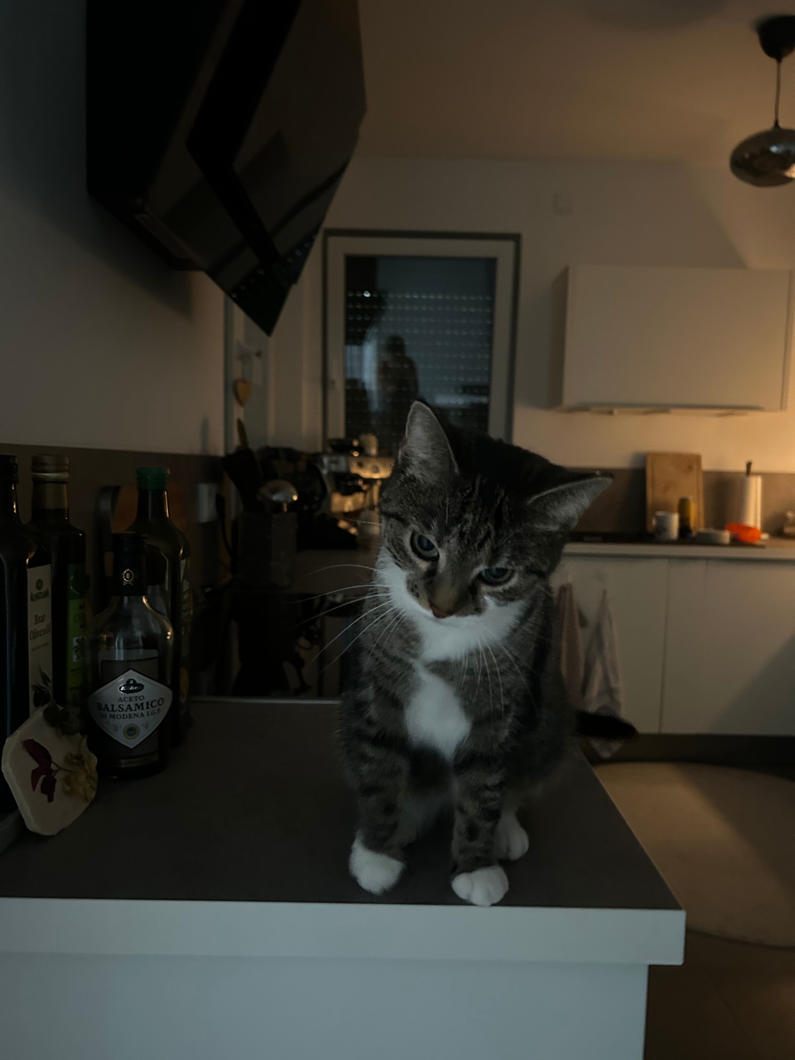 image-32