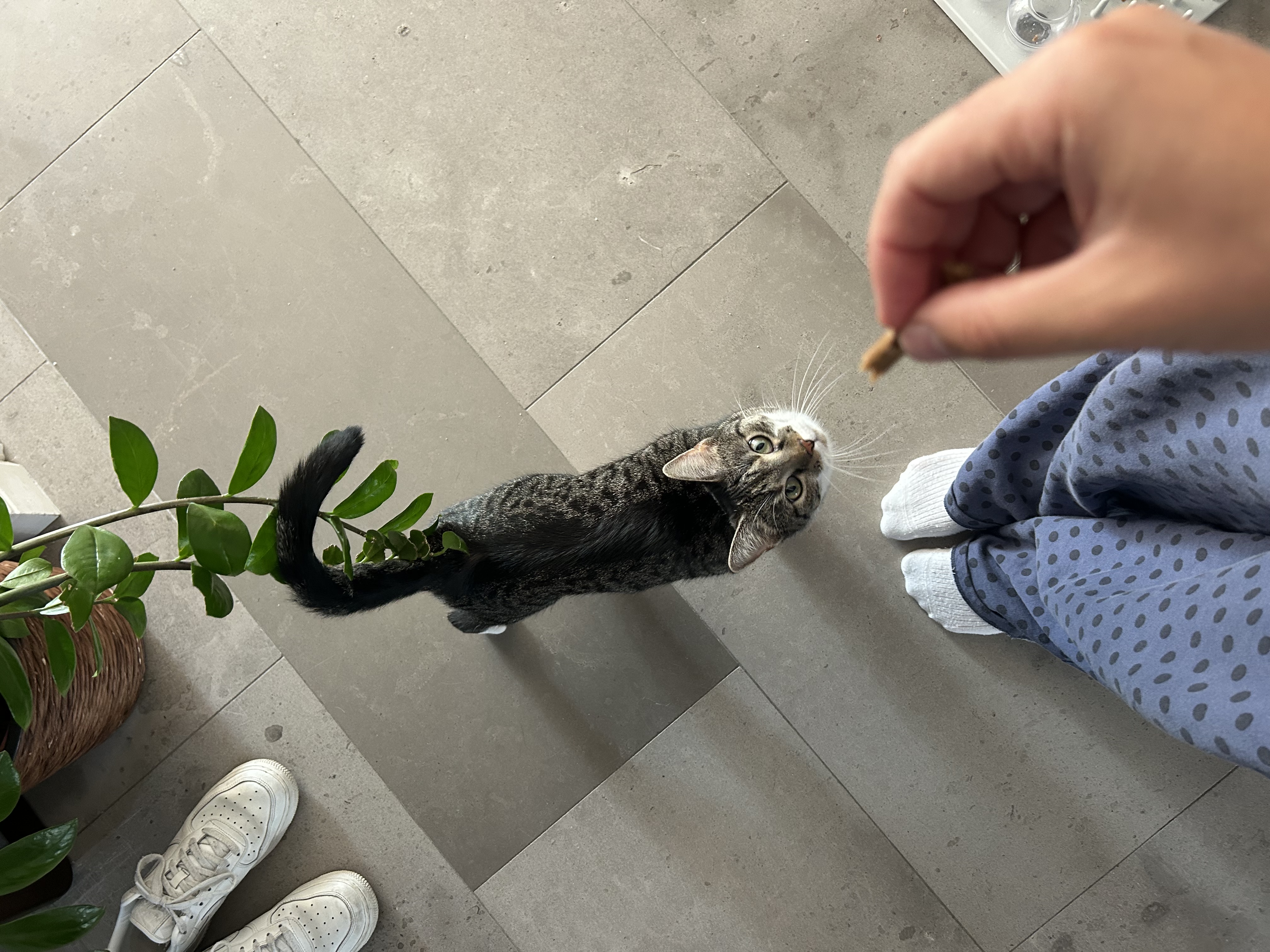 image-18