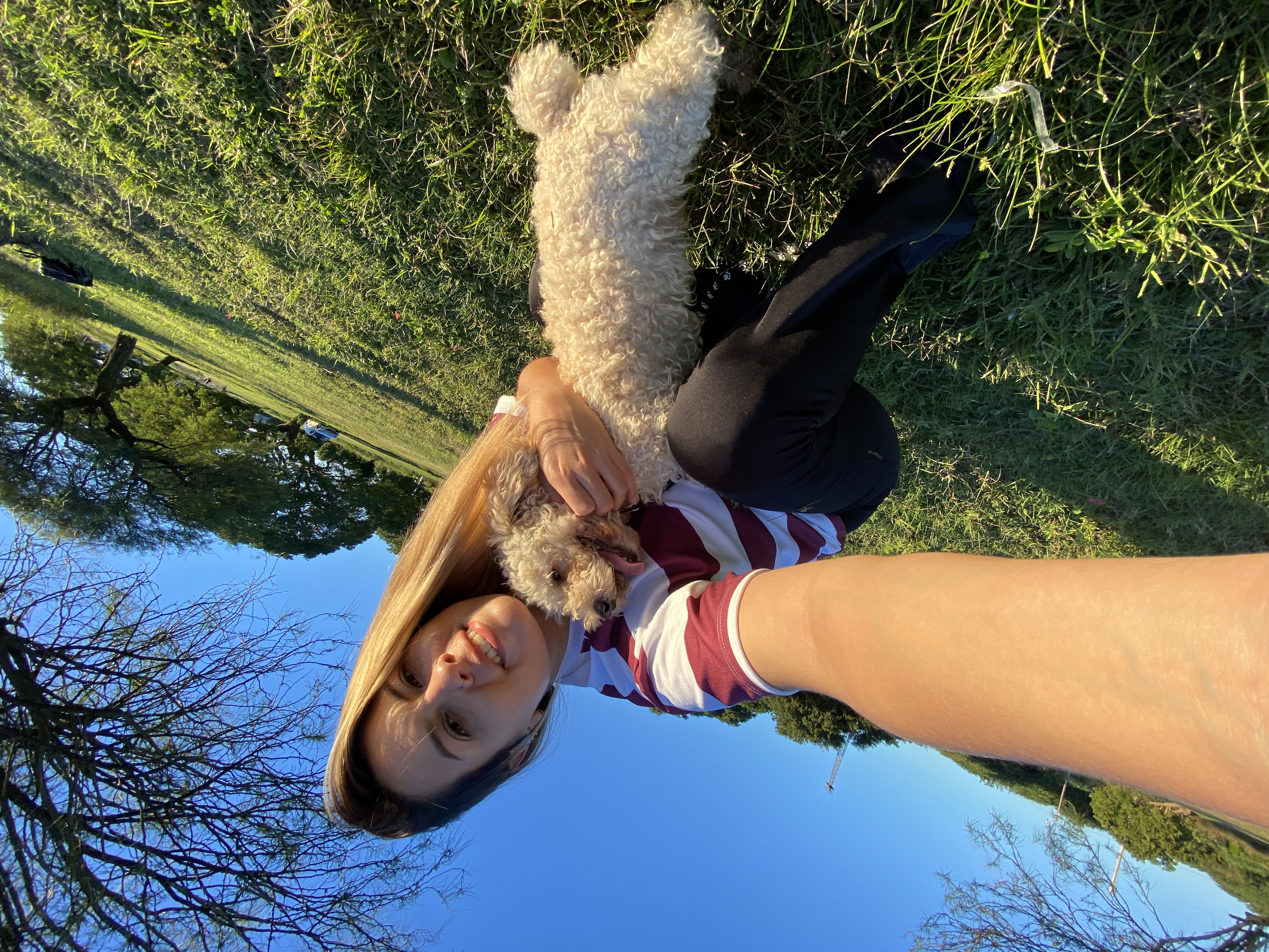 image-6