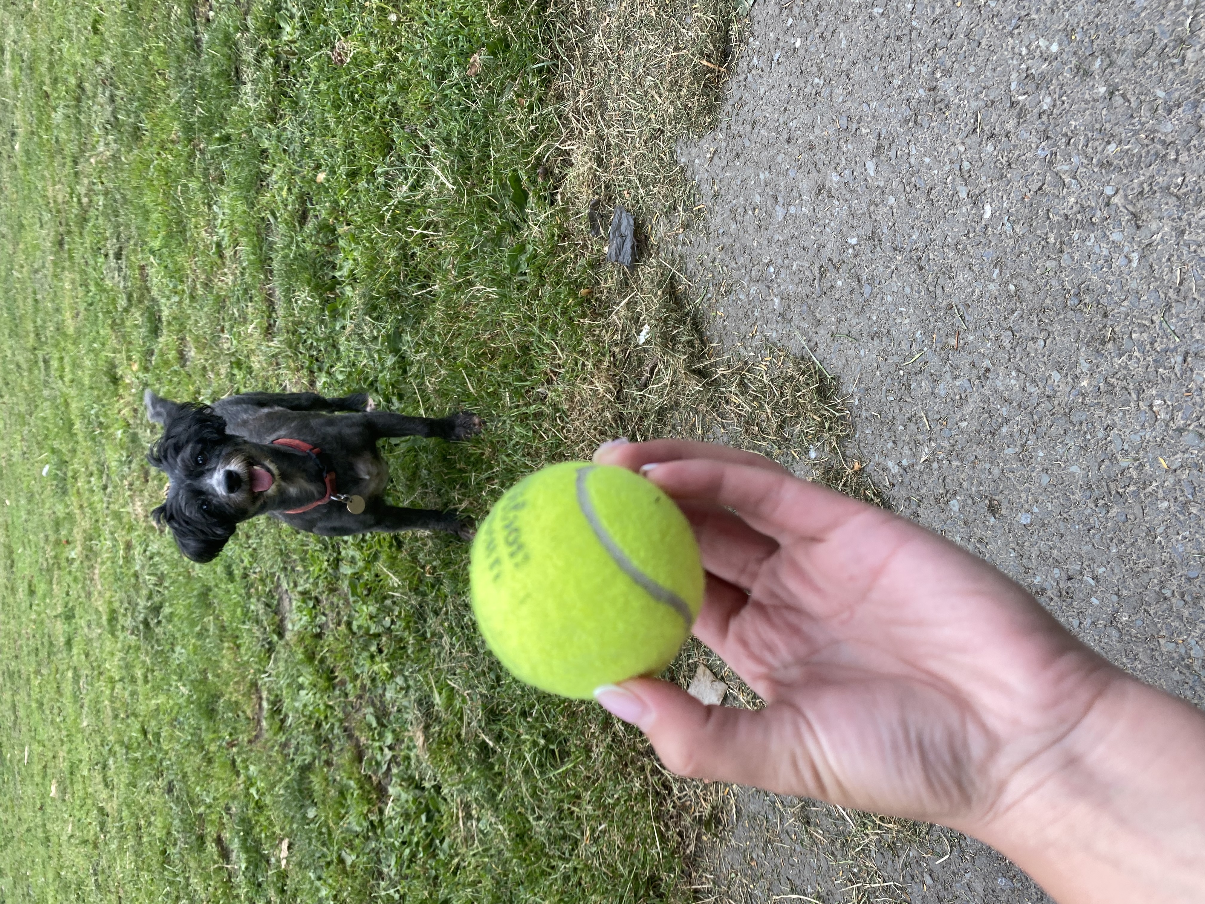 image-8