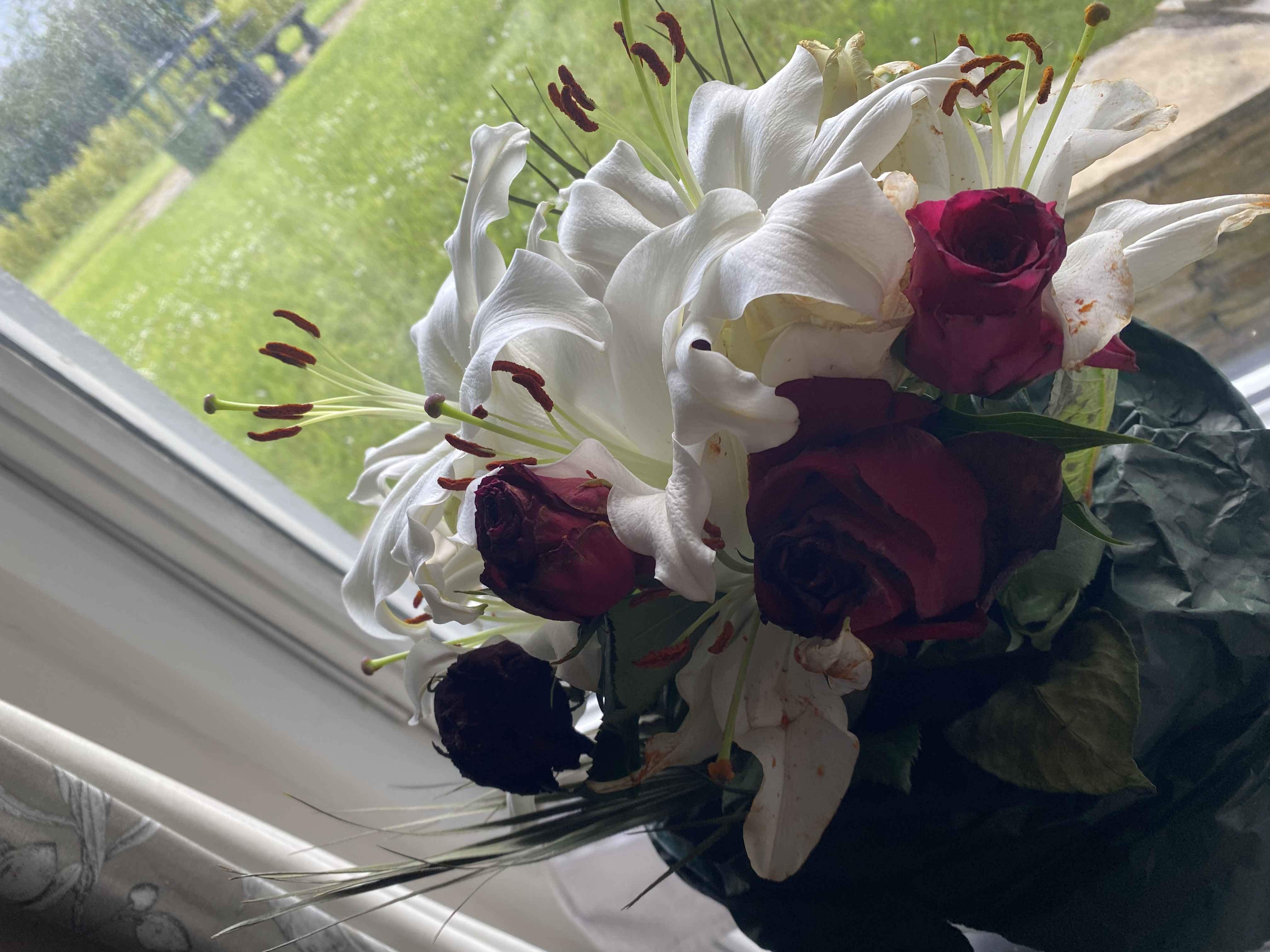 image-7