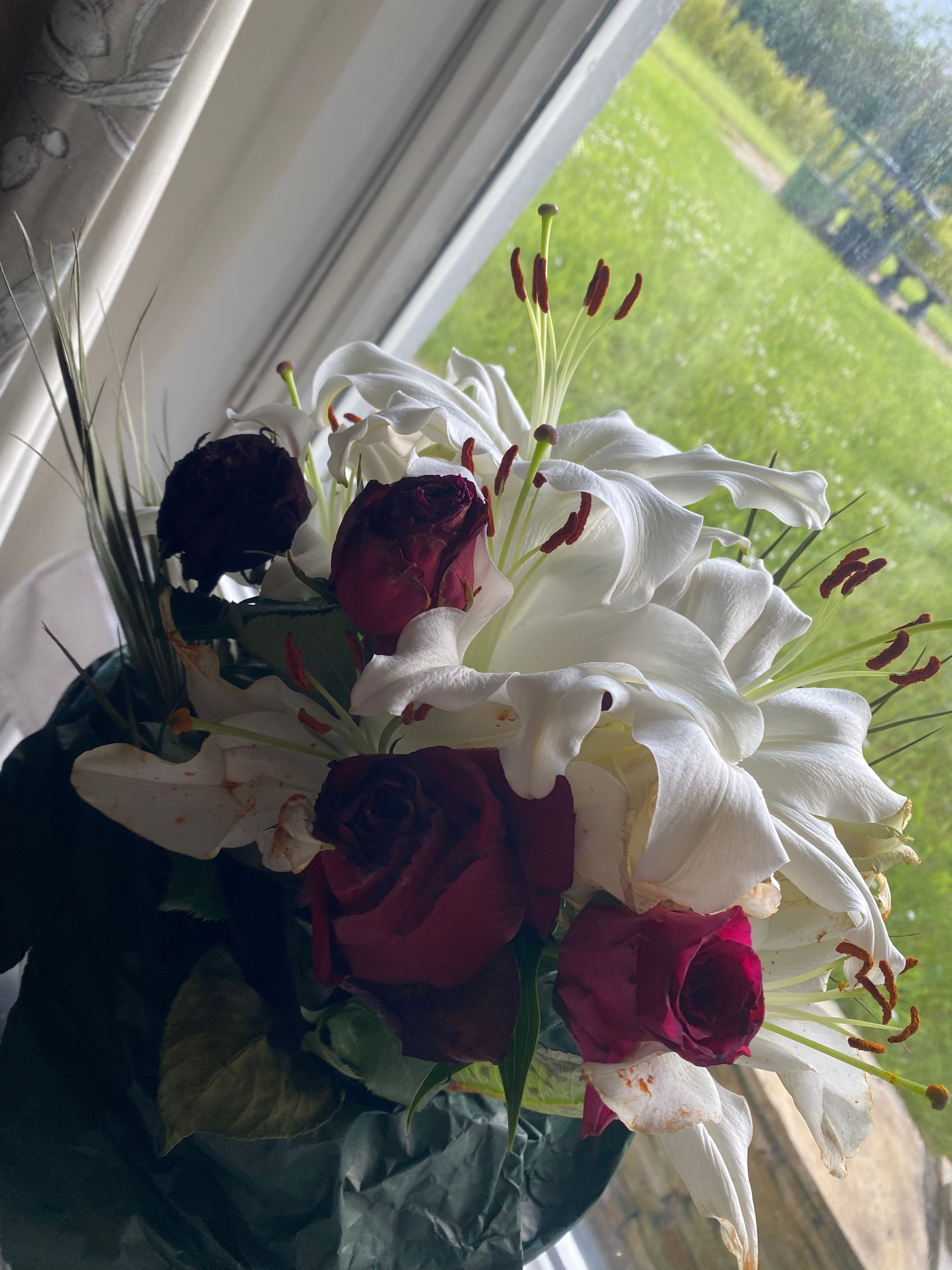 image-7