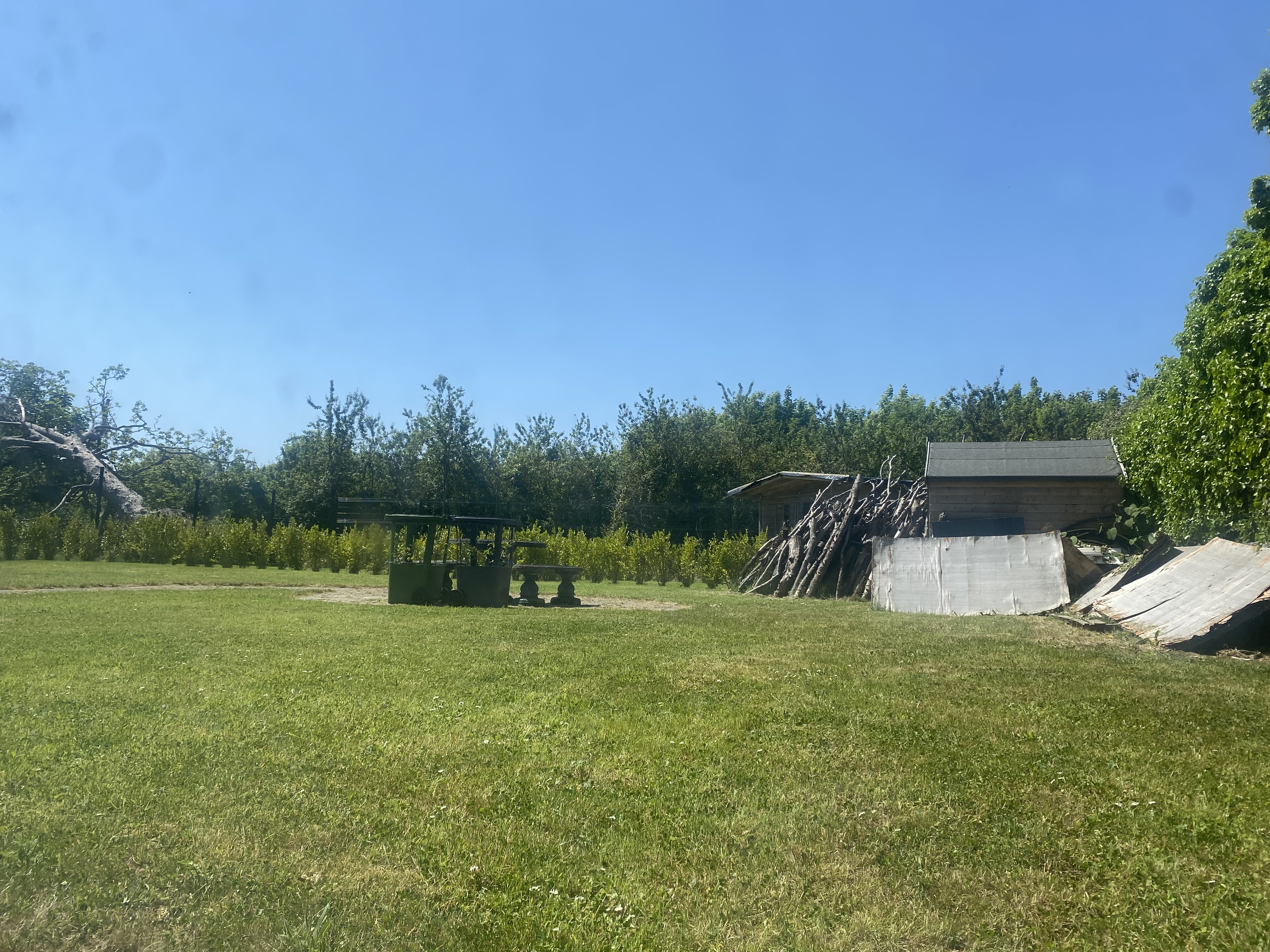 image-8