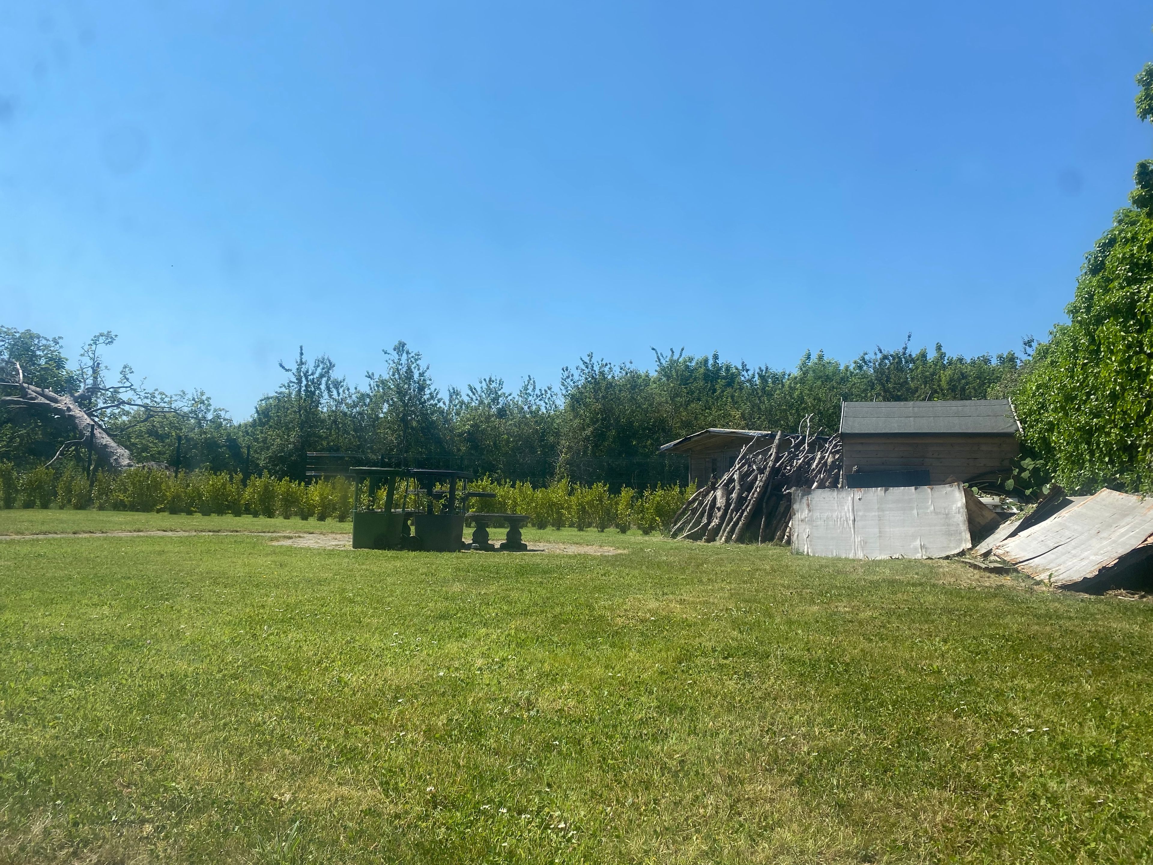 image-8