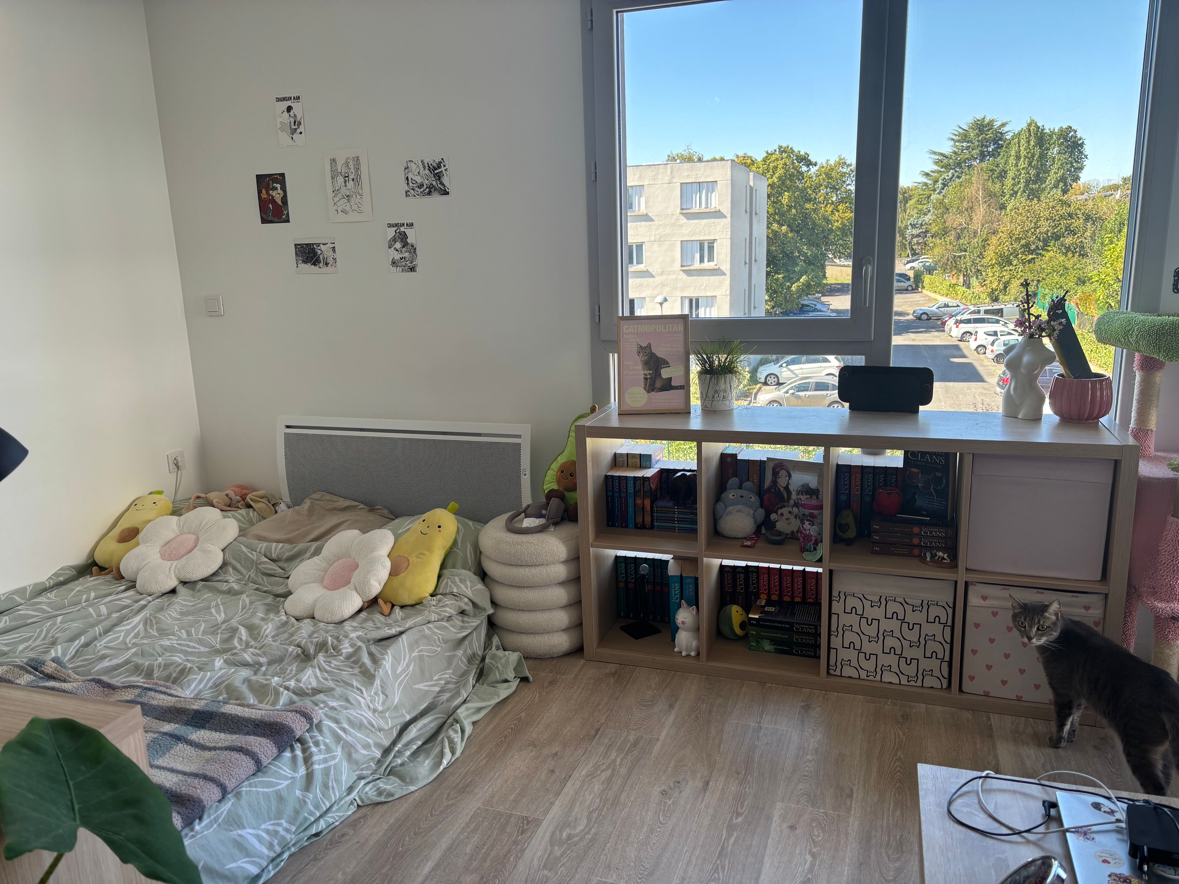 image-18